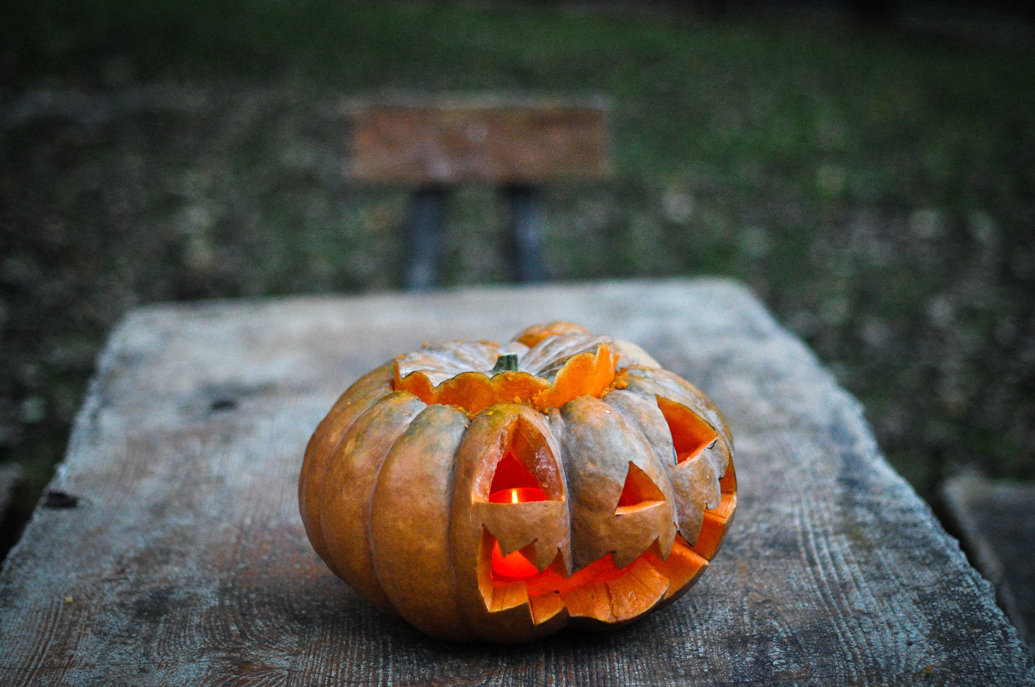 Nikon D5000 + Nikon AF-S Nikkor 50mm F1.4G sample photo. Jack-o'-lantern photography