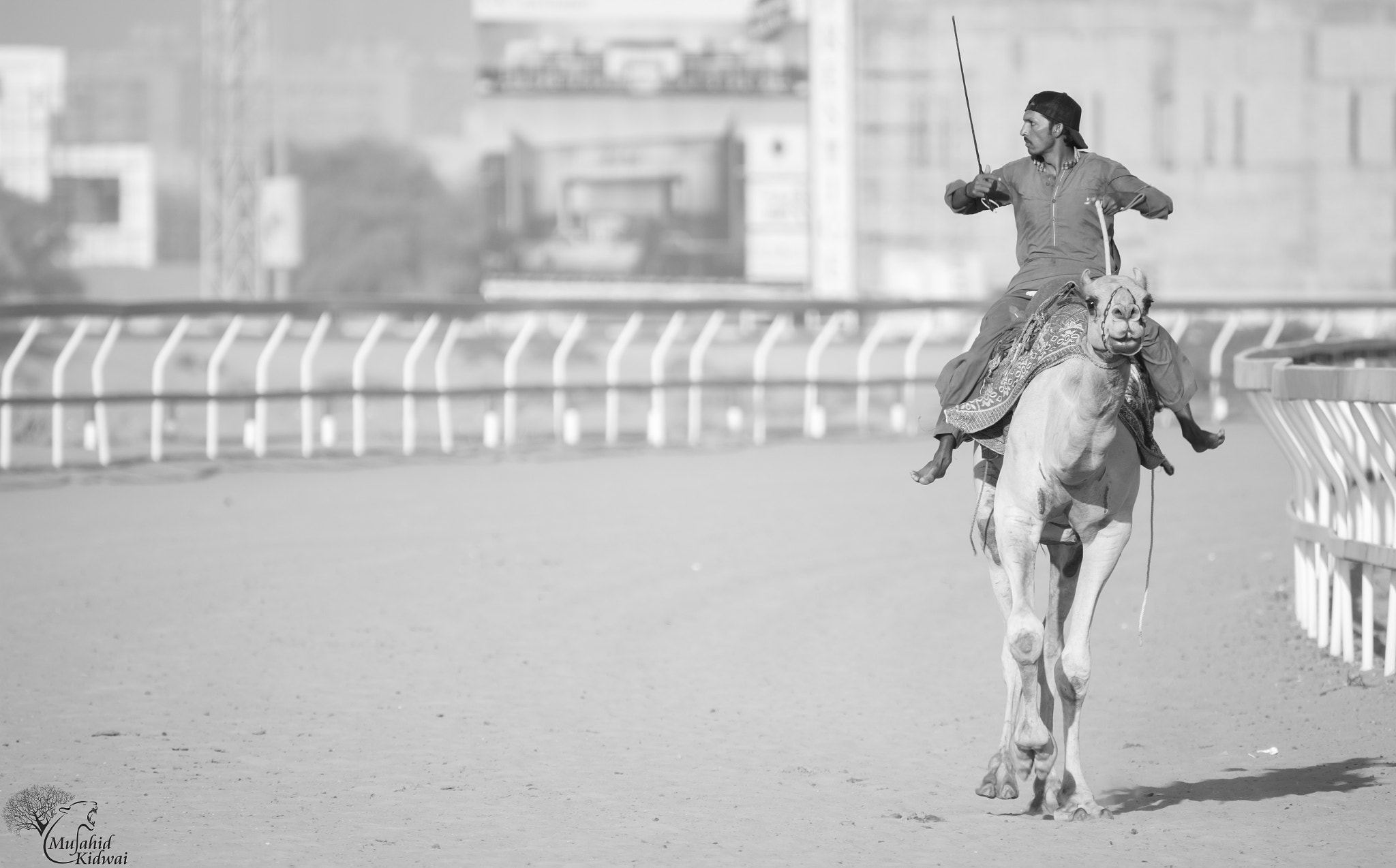 Sigma 150-500mm F5-6.3 DG OS HSM sample photo. Lone ranger photography