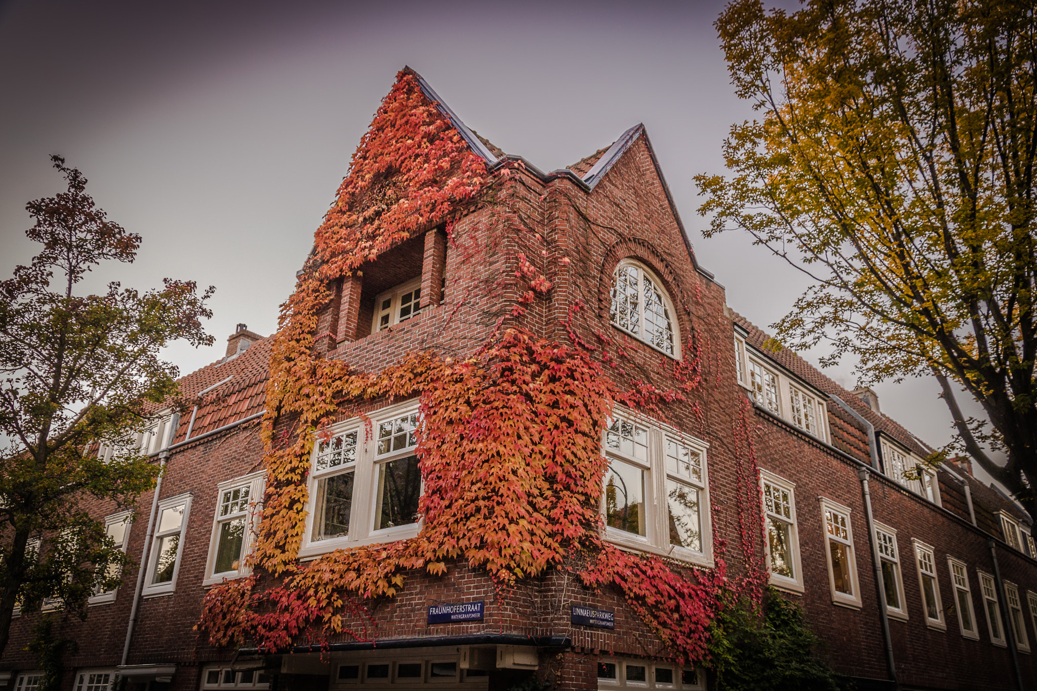 Canon EOS 760D (EOS Rebel T6s / EOS 8000D) sample photo. Autumn in amsterdam photography