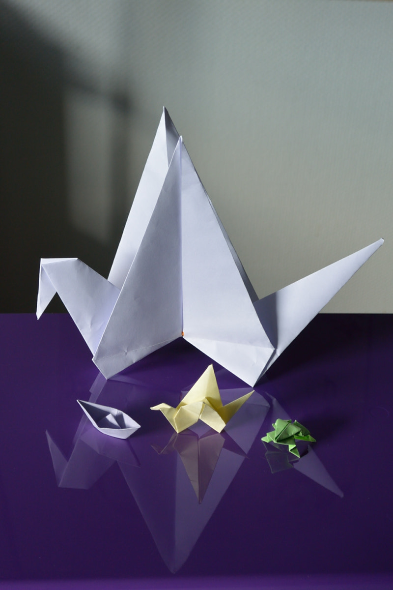 Nikon 1 J3 sample photo. Origami photography