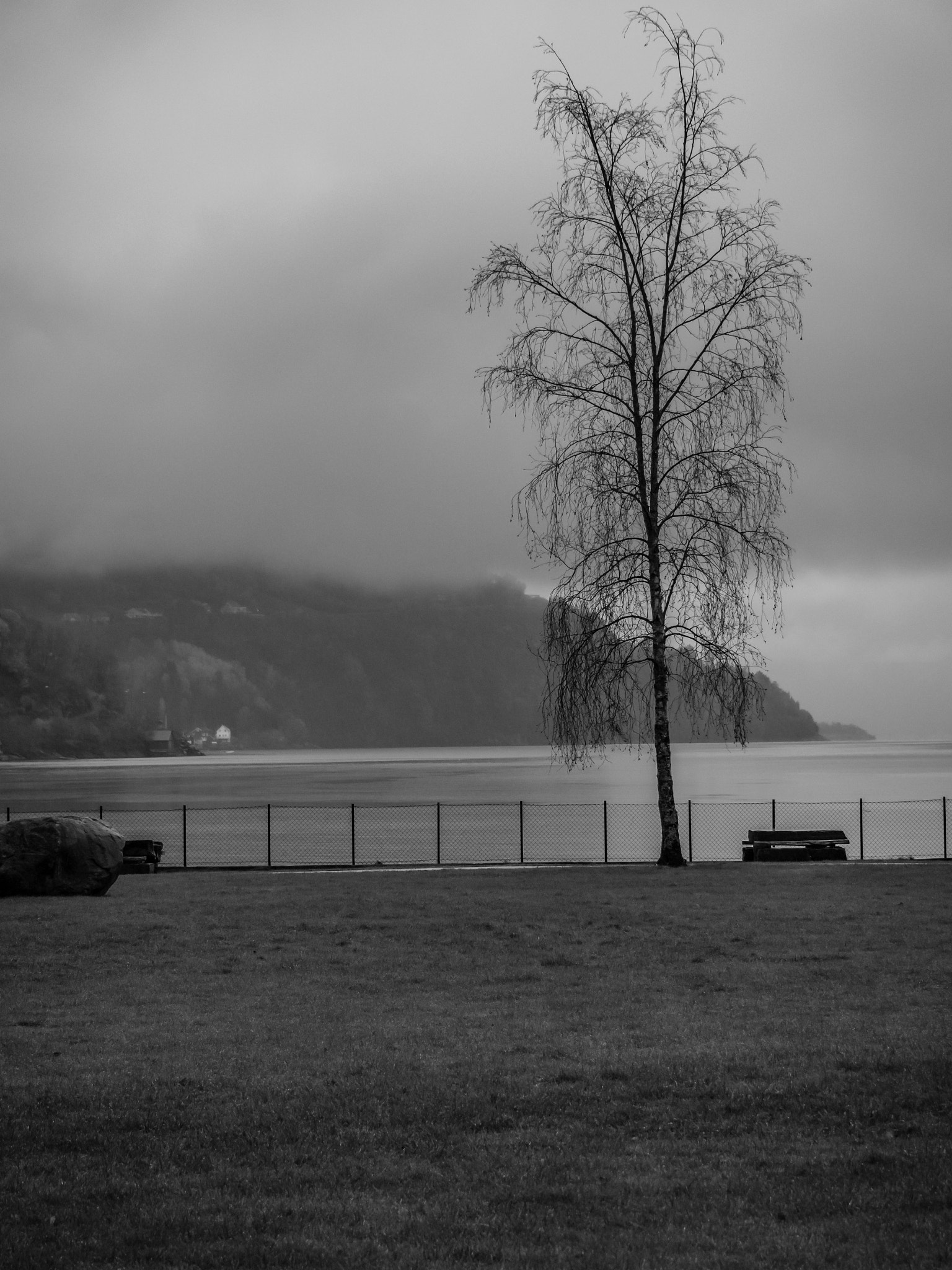Samsung NX30 + Samsung NX 18-55mm F3.5-5.6 OIS sample photo. "naked tree" photography