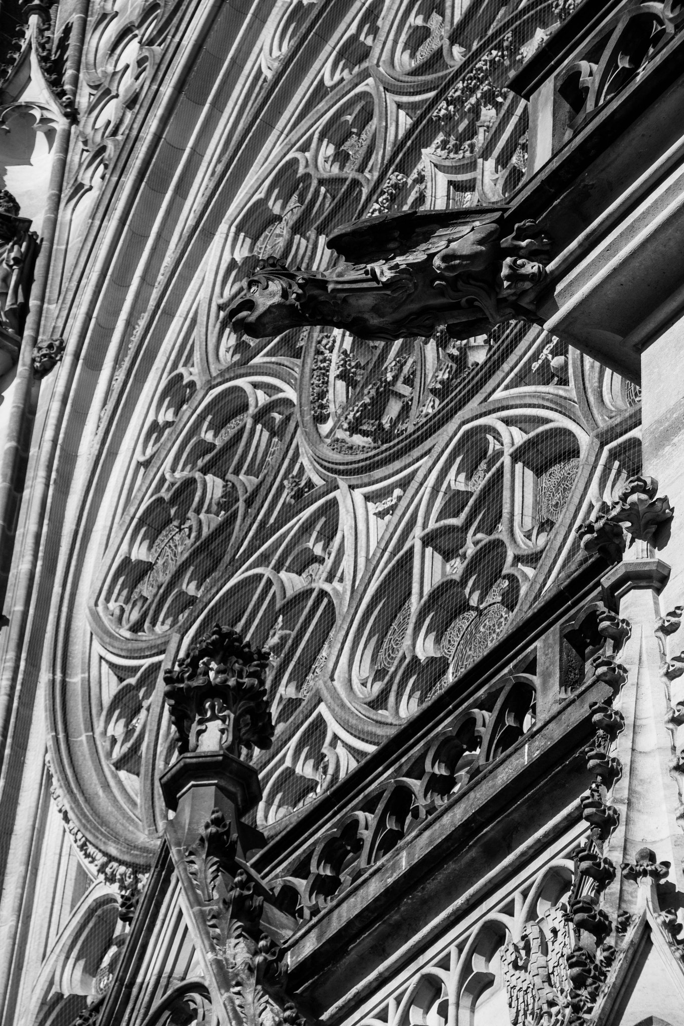 Sigma 18-200mm F3.5-6.3 II DC OS HSM sample photo. Gargoyle photography