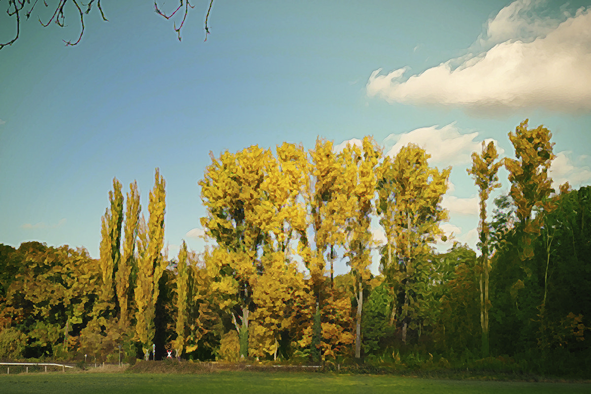 Olympus PEN-F sample photo. Autumn illusions photography