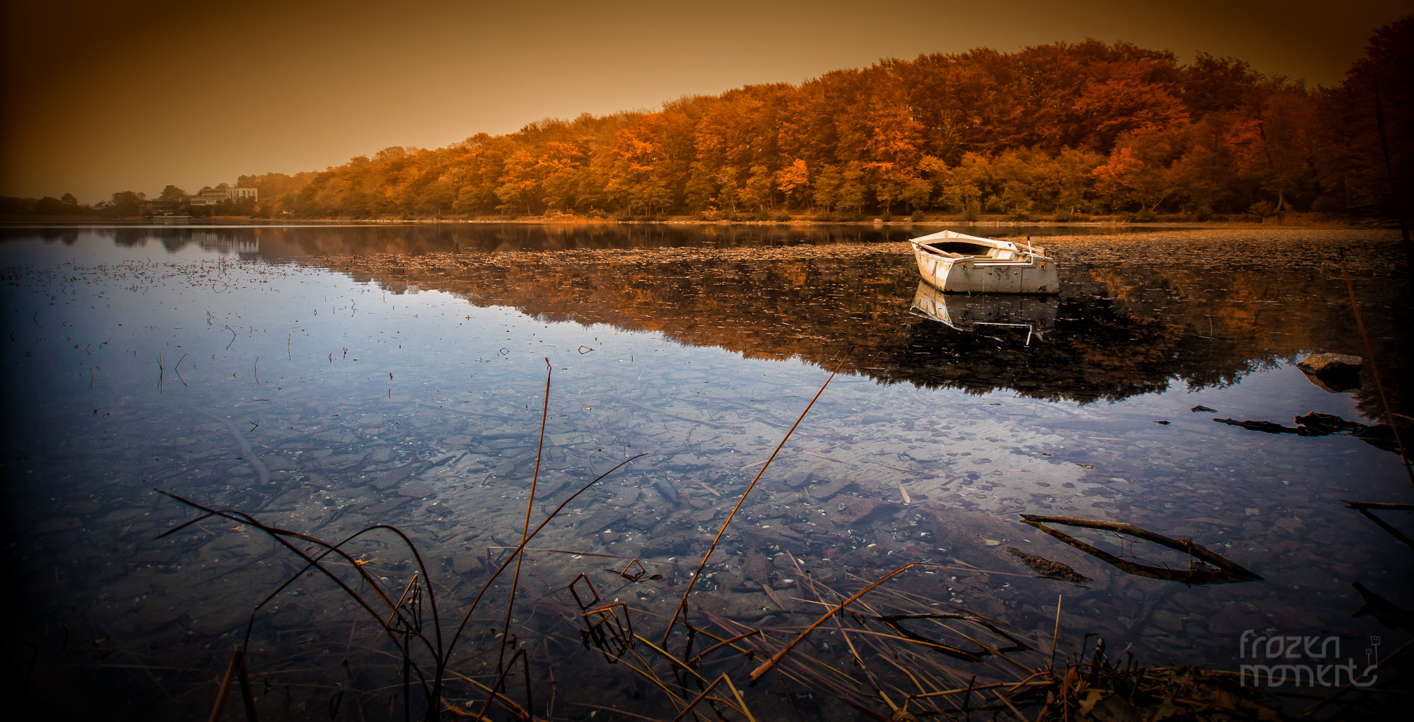Sigma 10-20mm F3.5 EX DC HSM sample photo. From a fairytale photography