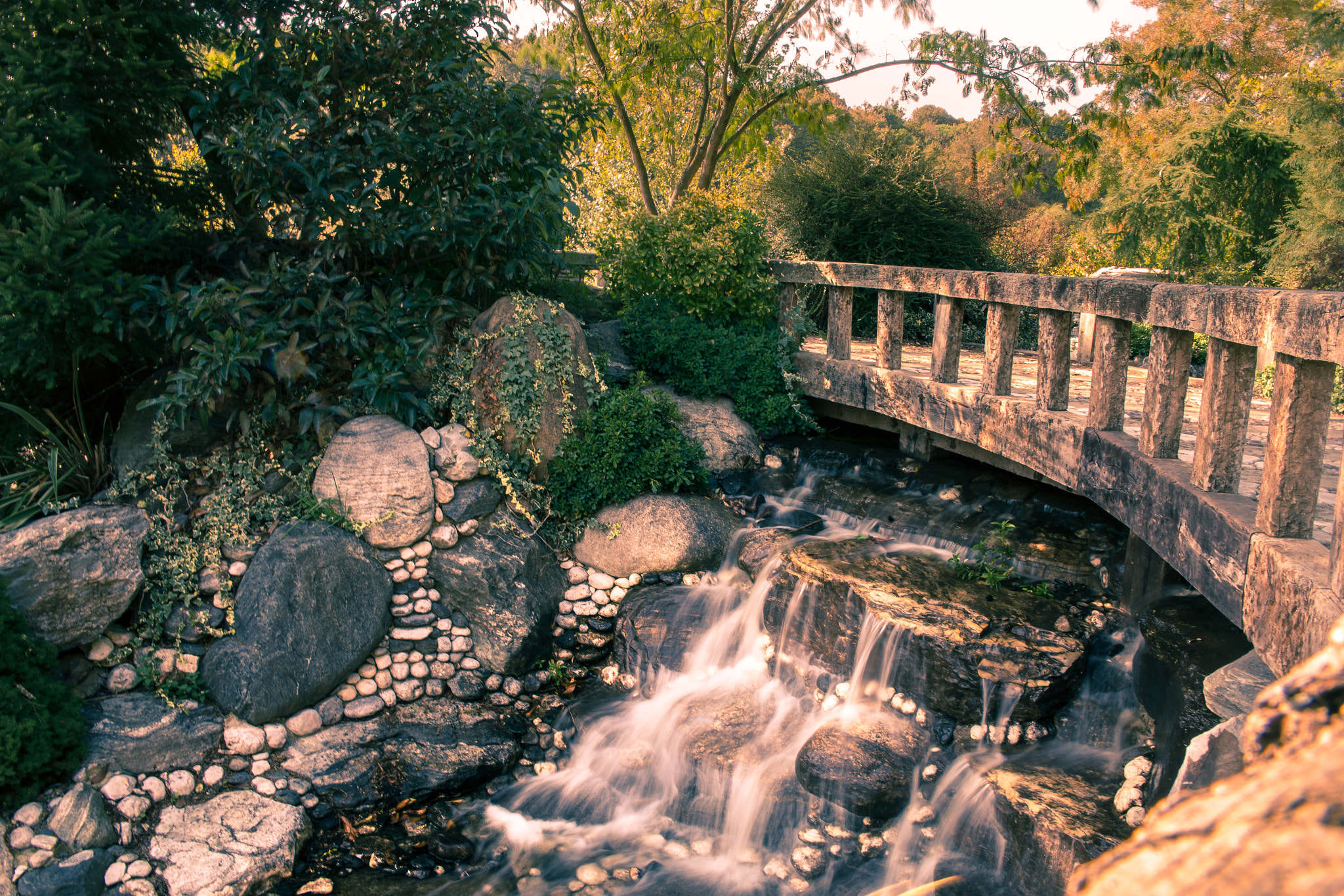 Canon EF 400mm f/2.8L sample photo. Fall photography