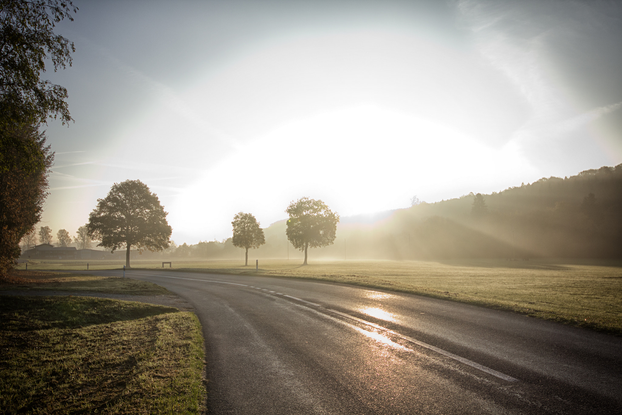 Canon EOS 60D + Sigma 12-24mm F4.5-5.6 II DG HSM sample photo. Trois arbres photography