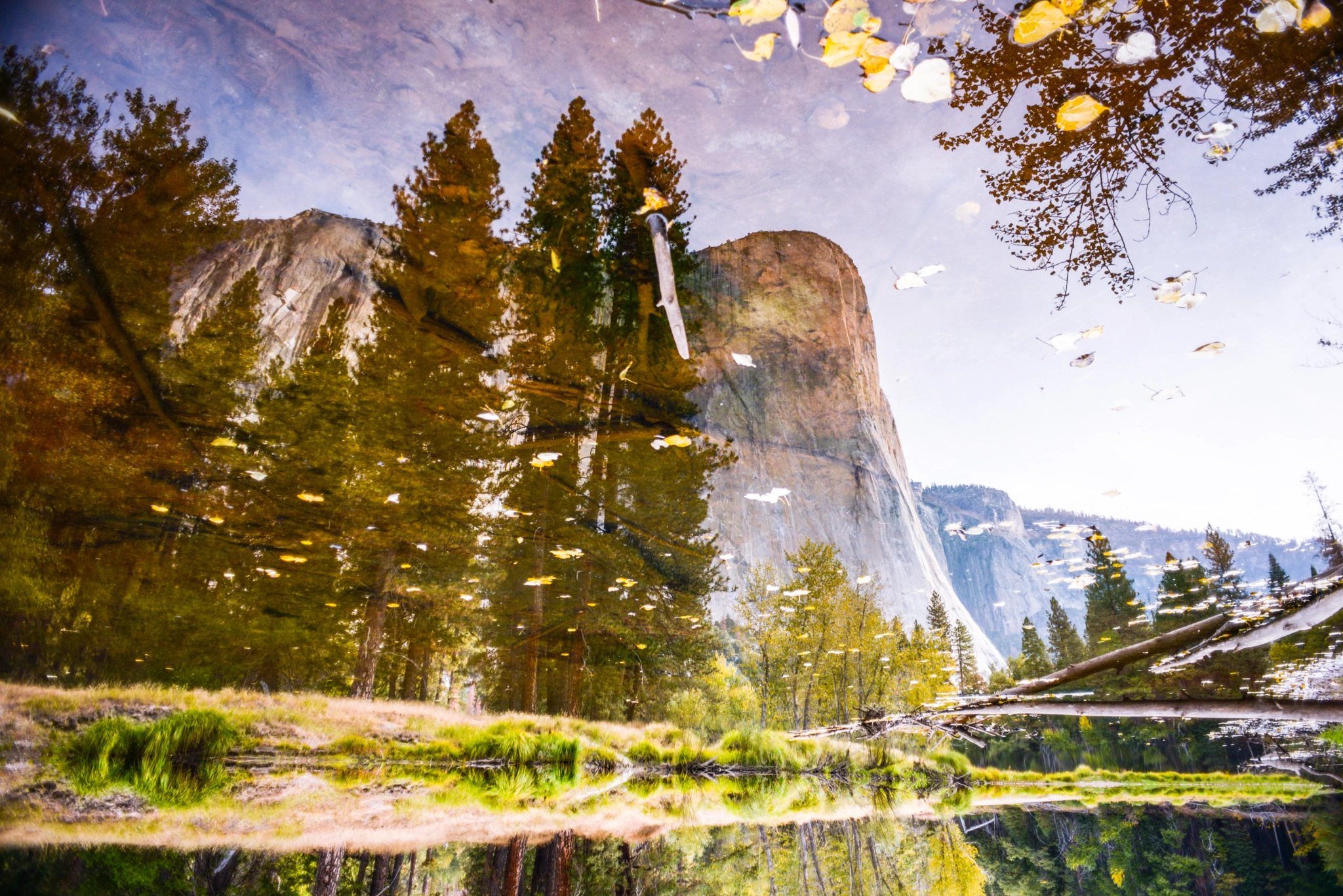 Nikon D600 + Nikon AF Nikkor 20mm F2.8D sample photo. El capitan reflected photography