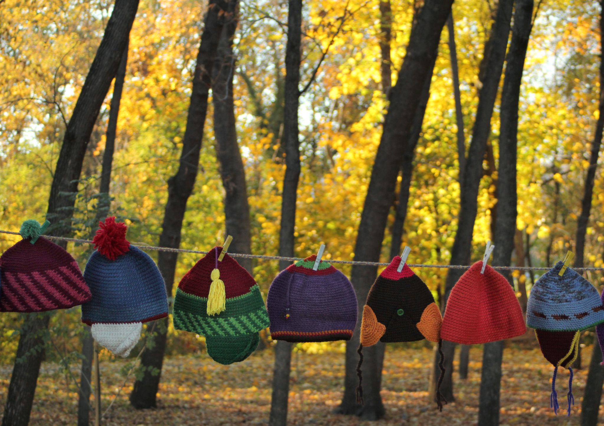 Canon EF 28-80mm f/3.5-5.6 sample photo. Autumn shows her hats photography