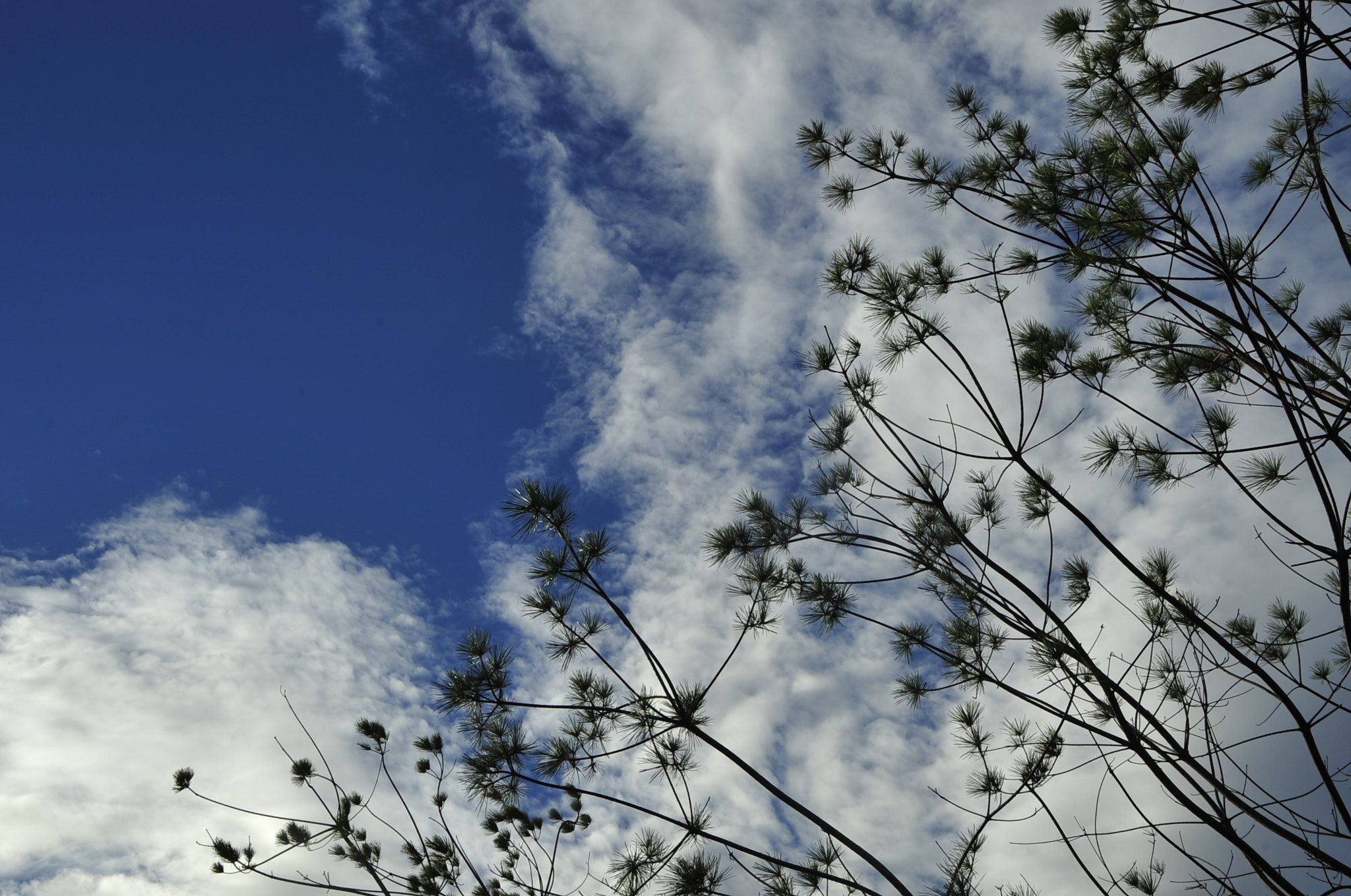 Nikon D3 sample photo. .. photography