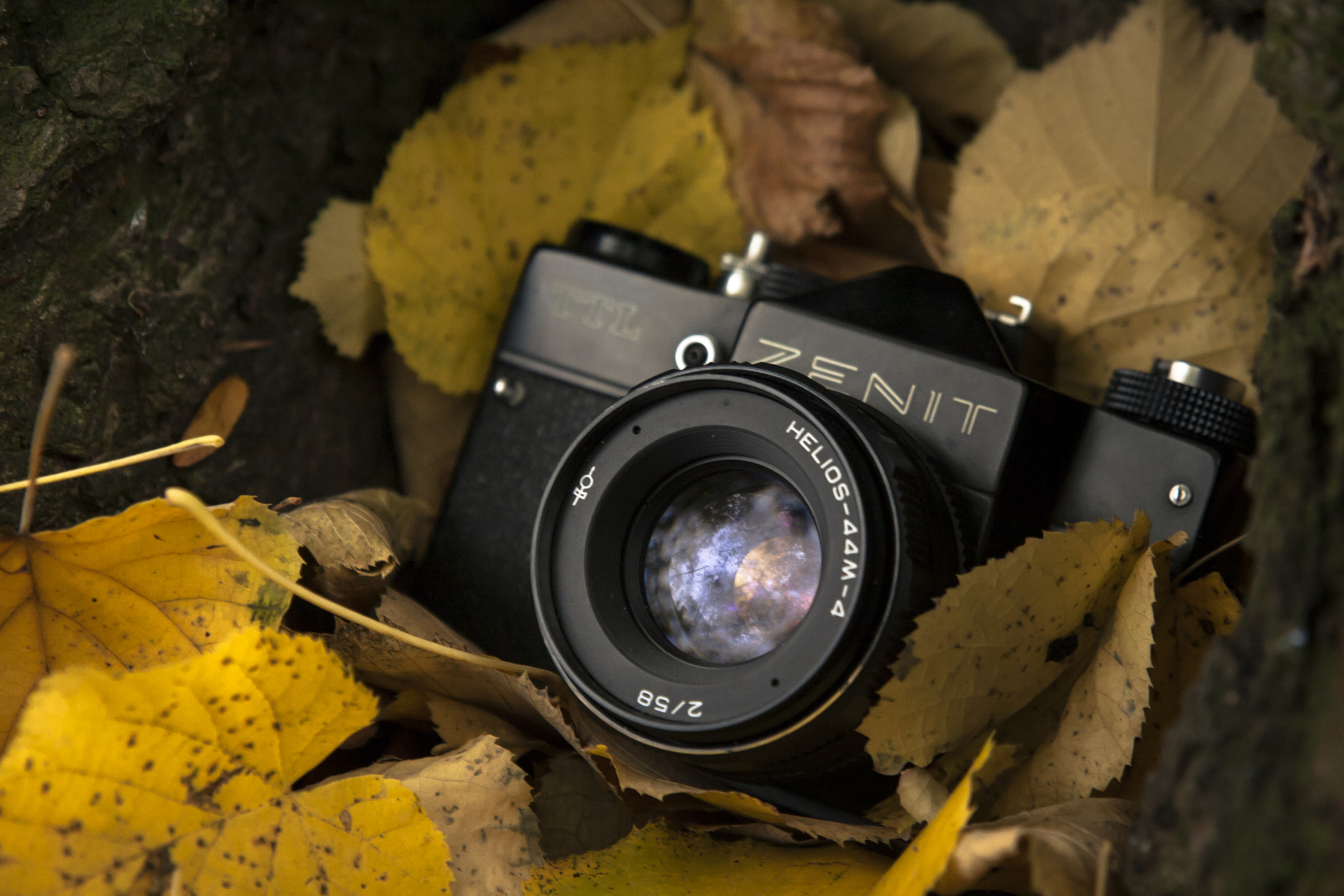 Sigma 17-70mm F2.8-4 DC Macro OS HSM sample photo. Analog camera photography