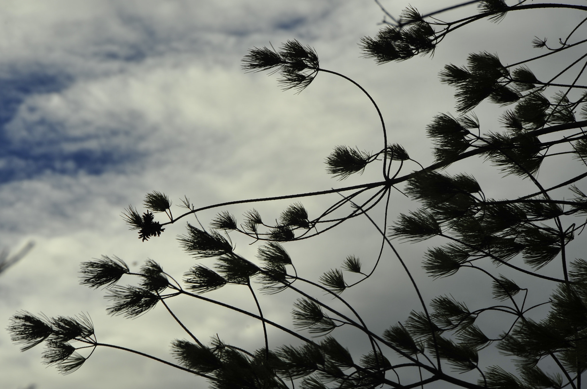 Nikon D3 sample photo. .. photography
