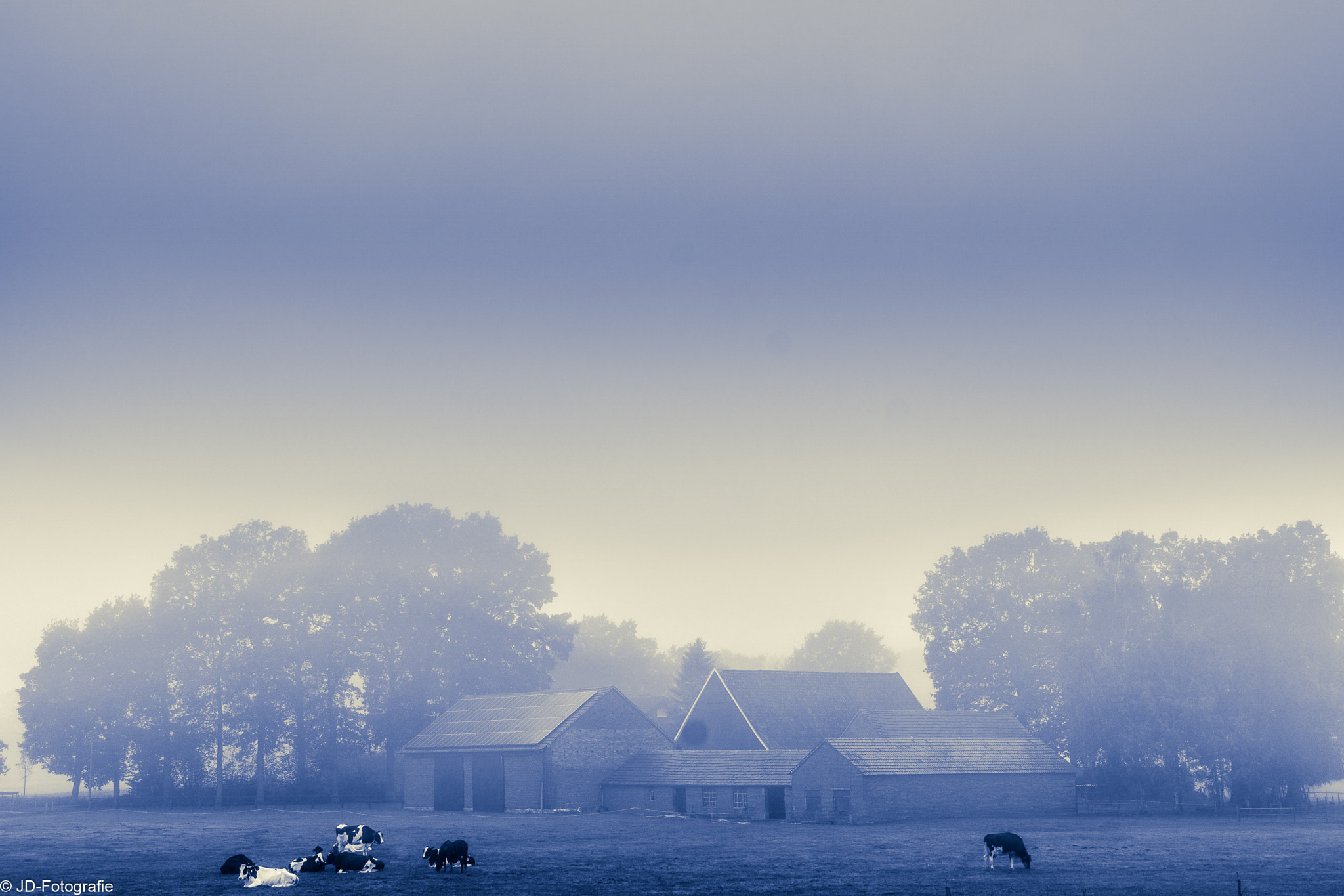 Sony DT 18-200mm F3.5-6.3 sample photo. Nebelmorgen photography