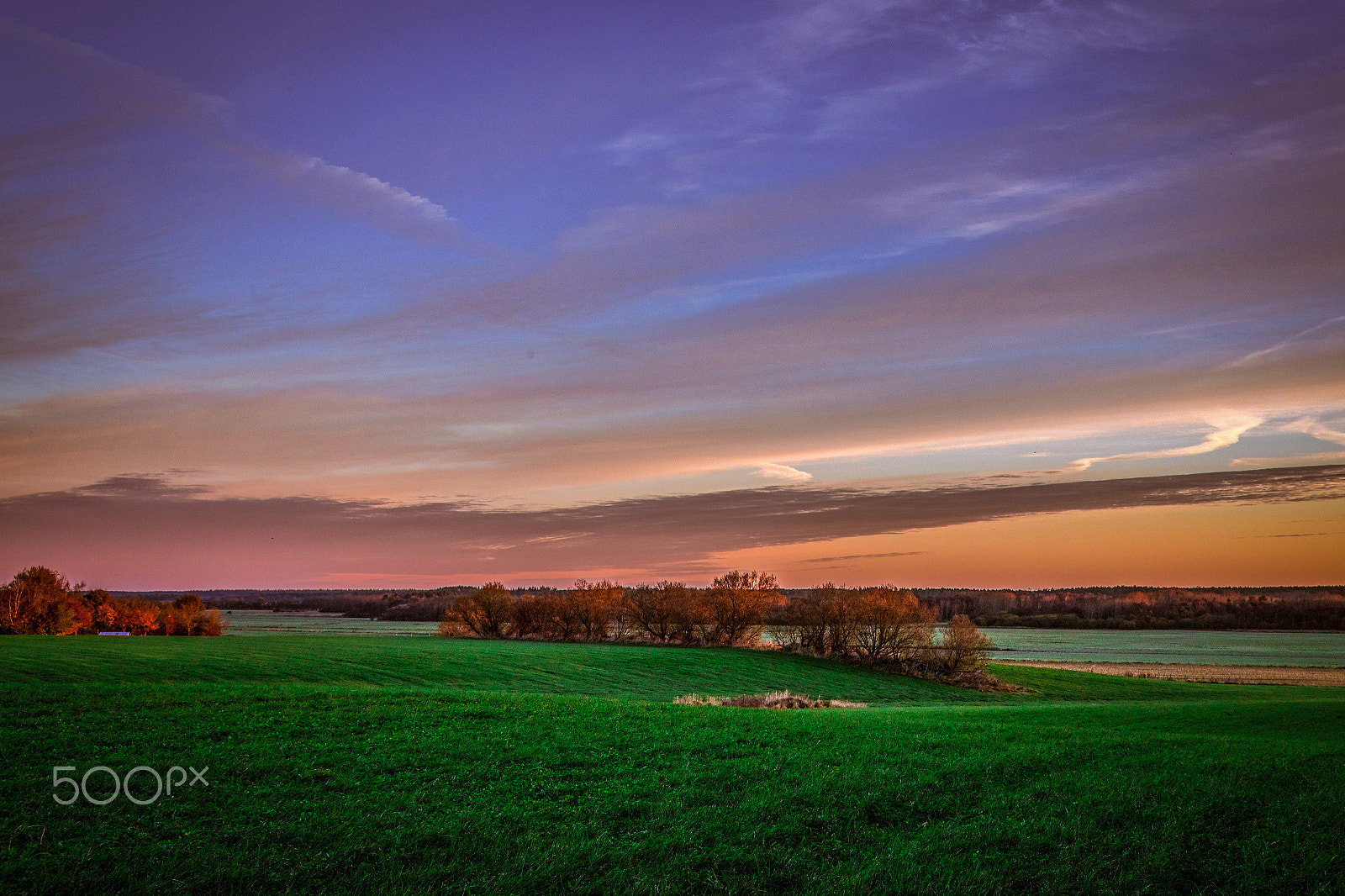 Canon EOS-1D X Mark II + Sigma 24-105mm f/4 DG OS HSM | A sample photo. Autumn morning photography