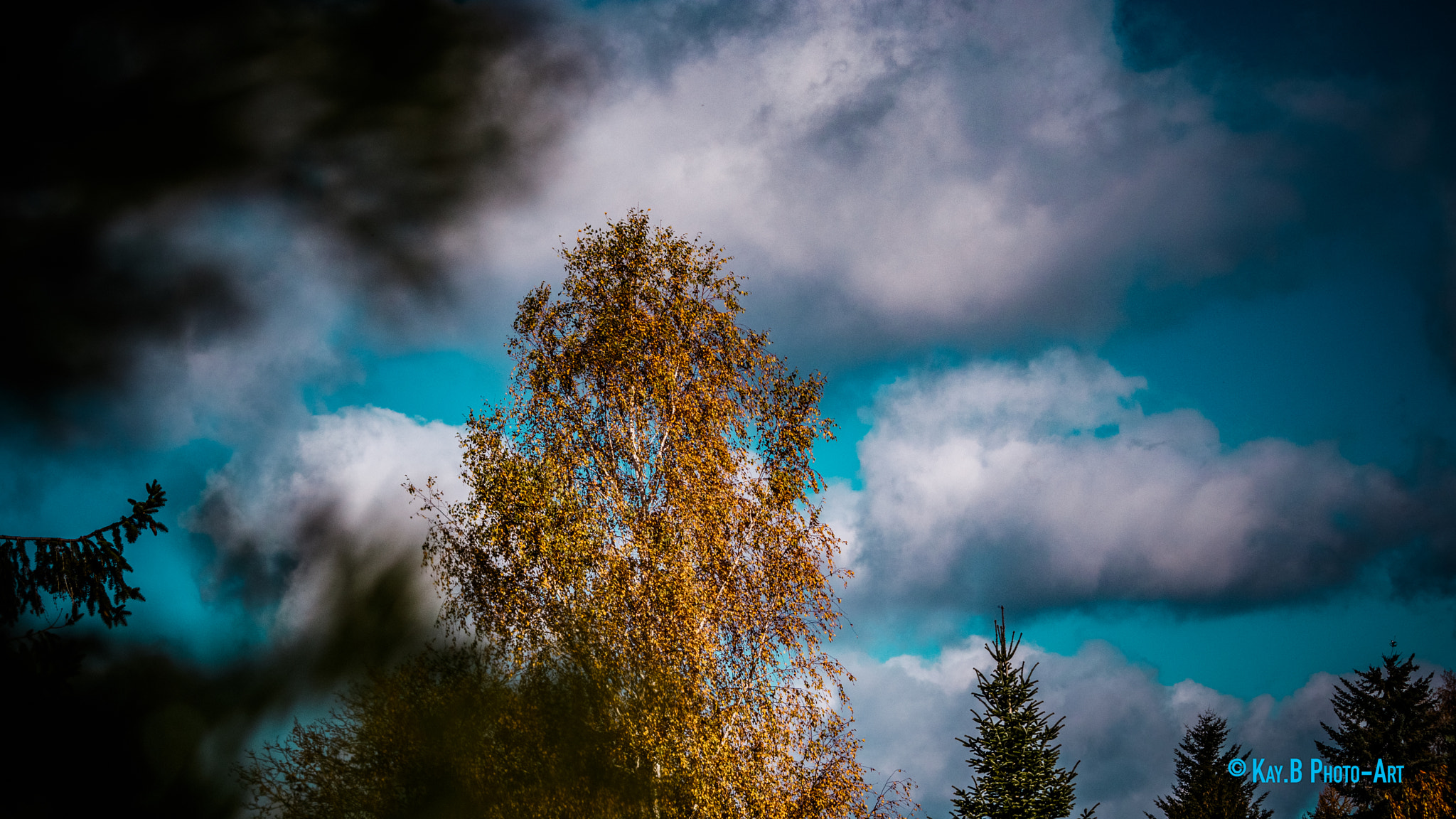 Canon EF-S 55-250mm F4-5.6 IS II sample photo. Img photography