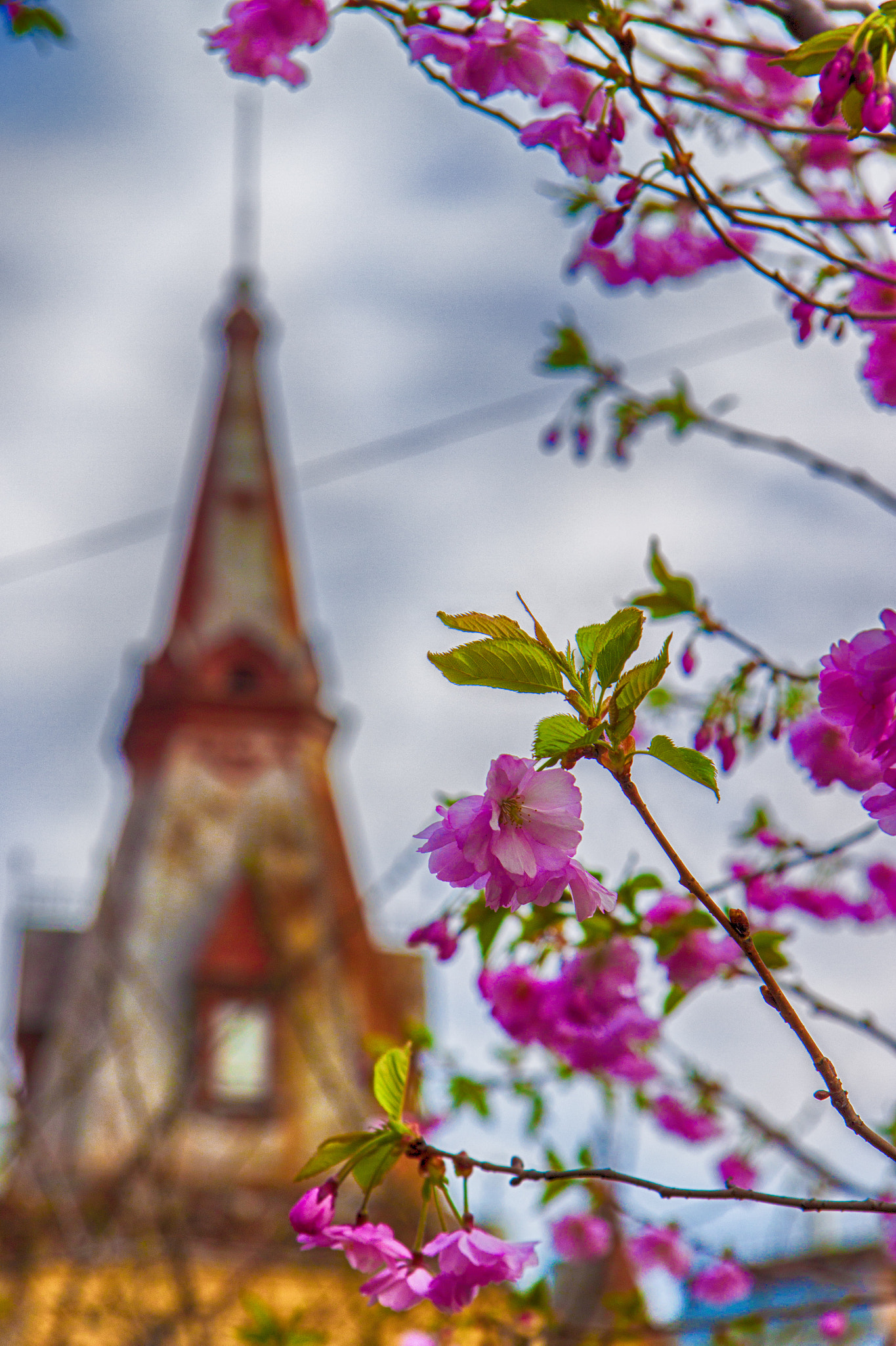 Canon EF-S 17-85mm F4-5.6 IS USM sample photo