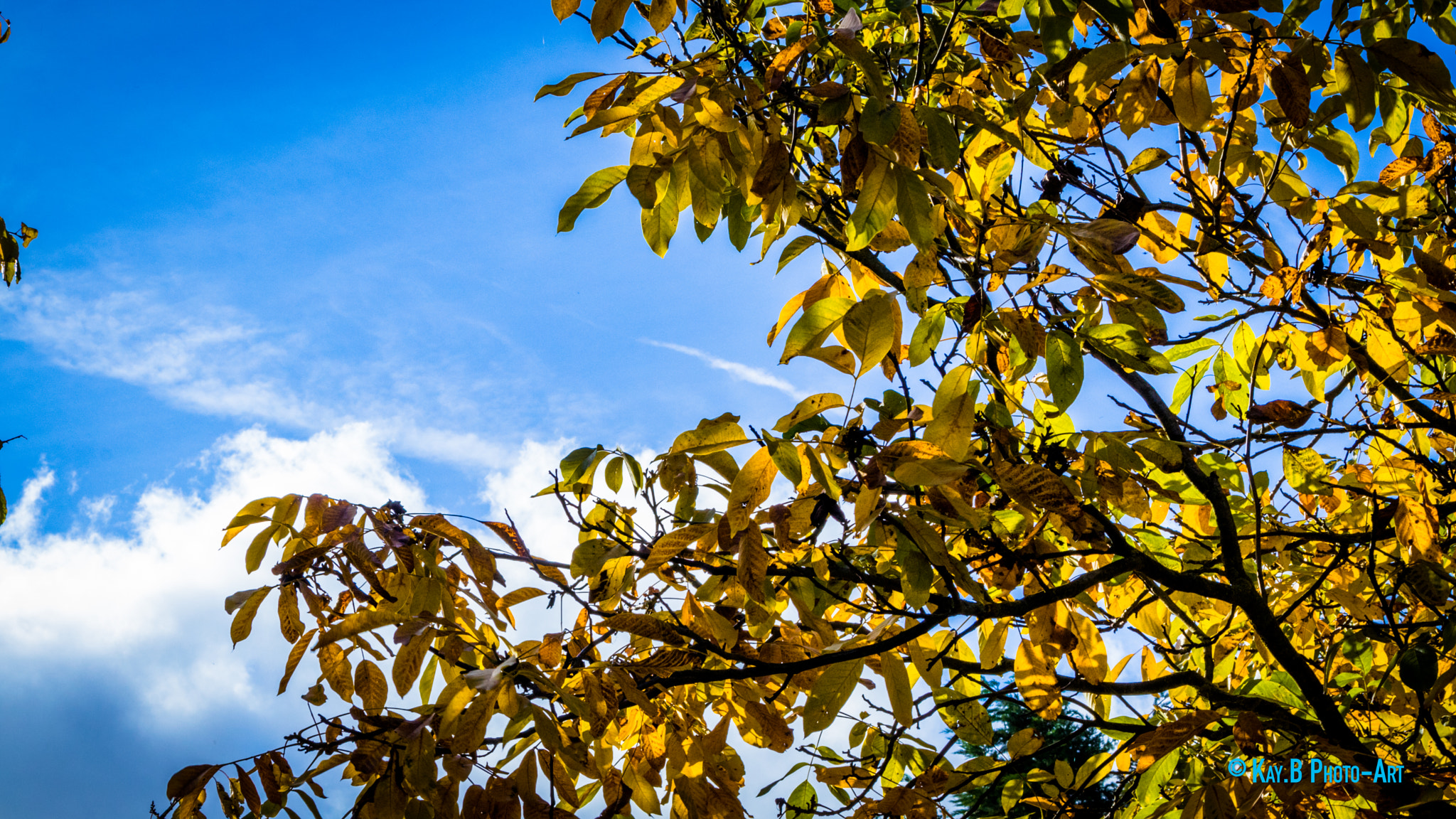 Canon EF-S 55-250mm F4-5.6 IS II sample photo. Img photography