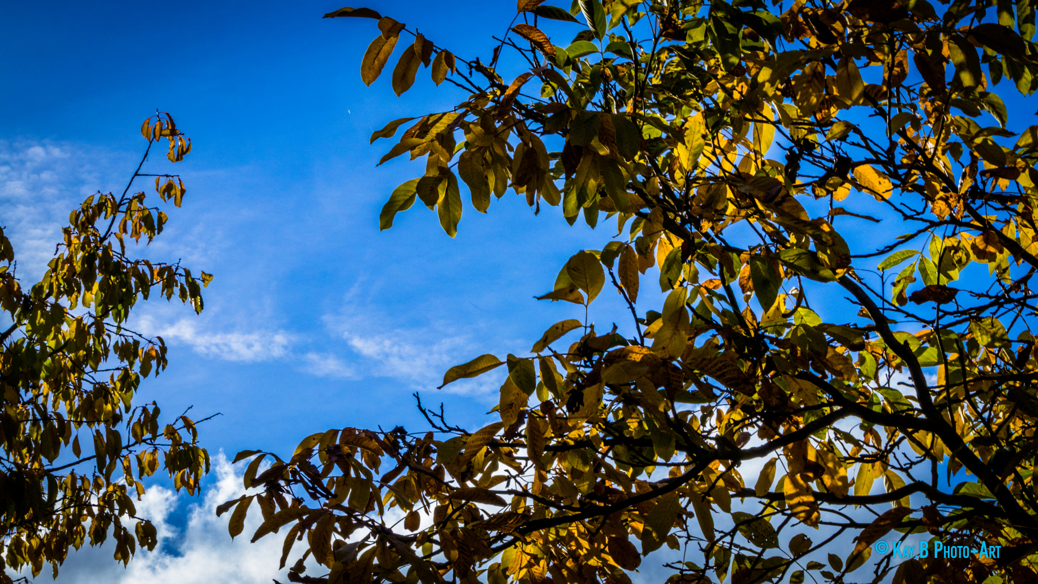 Canon EF-S 55-250mm F4-5.6 IS II sample photo. Img photography