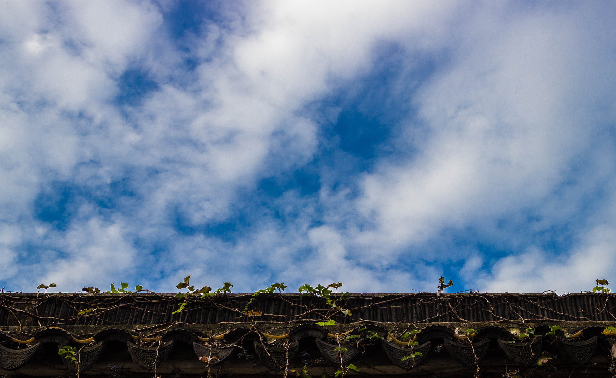 Canon EF 28-70mm f/3.5-4.5 sample photo