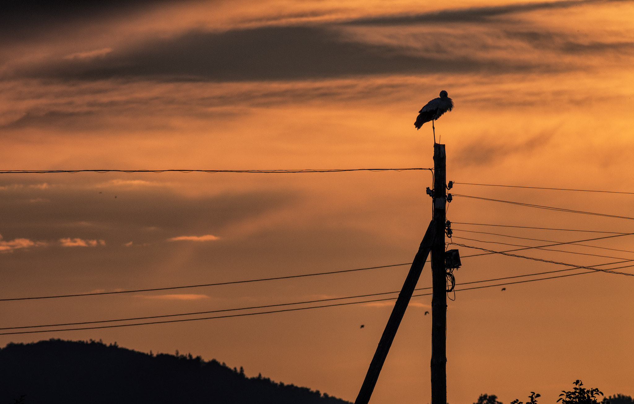 Pentax K-5 IIs sample photo. Silhouette ii. photography