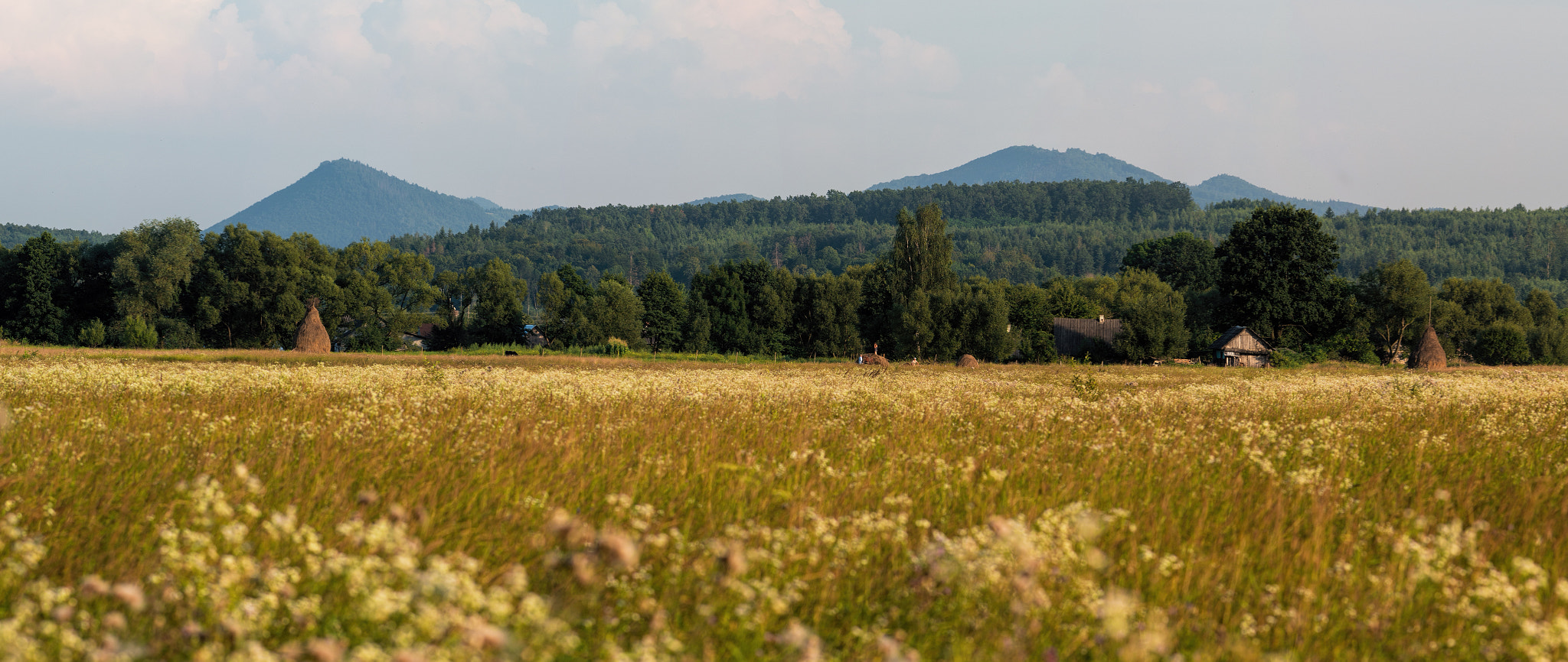 Pentax K-5 IIs sample photo. Sunny day iii. photography