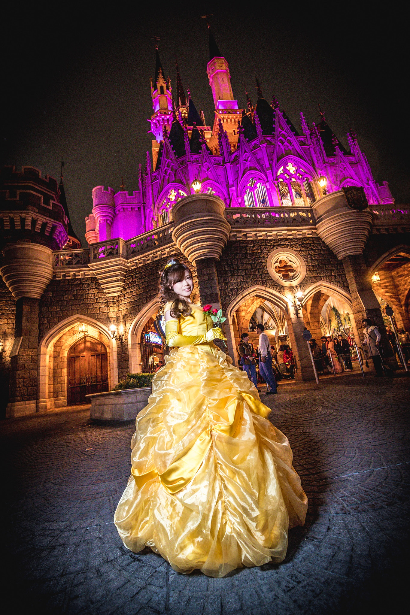Canon EF 16-35mm F4L IS USM sample photo. Disney photography