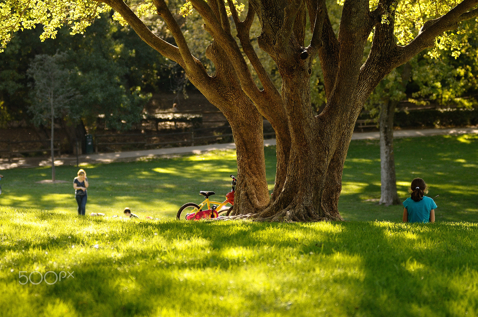 Nikon AF-Nikkor 80-200mm F2.8D ED sample photo. Les arbres du parc photography