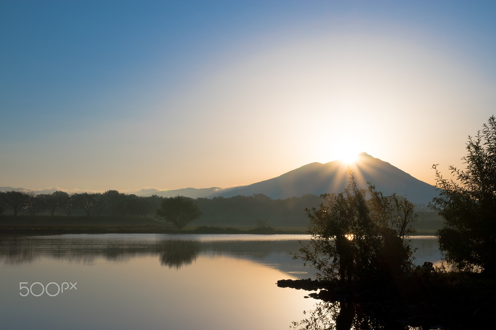 Sigma 17-70mm F2.8-4 DC Macro OS HSM | C sample photo. Awakening photography