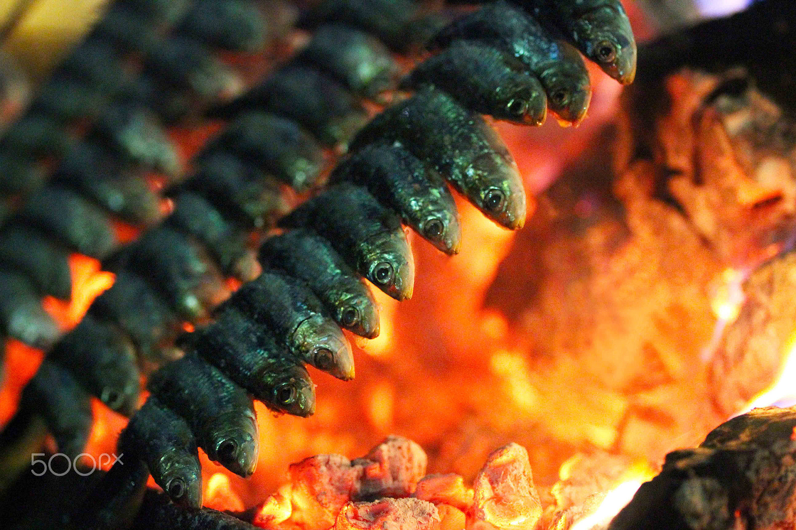 Canon EF 100mm F2.8L Macro IS USM sample photo. Sardinas al espeto photography