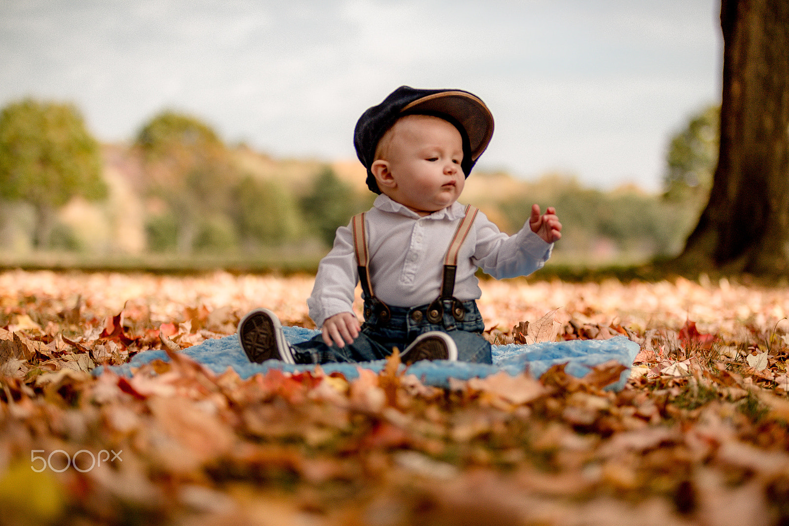 Sigma 50-100mm F1.8 DC HSM Art sample photo. Hendrix photography