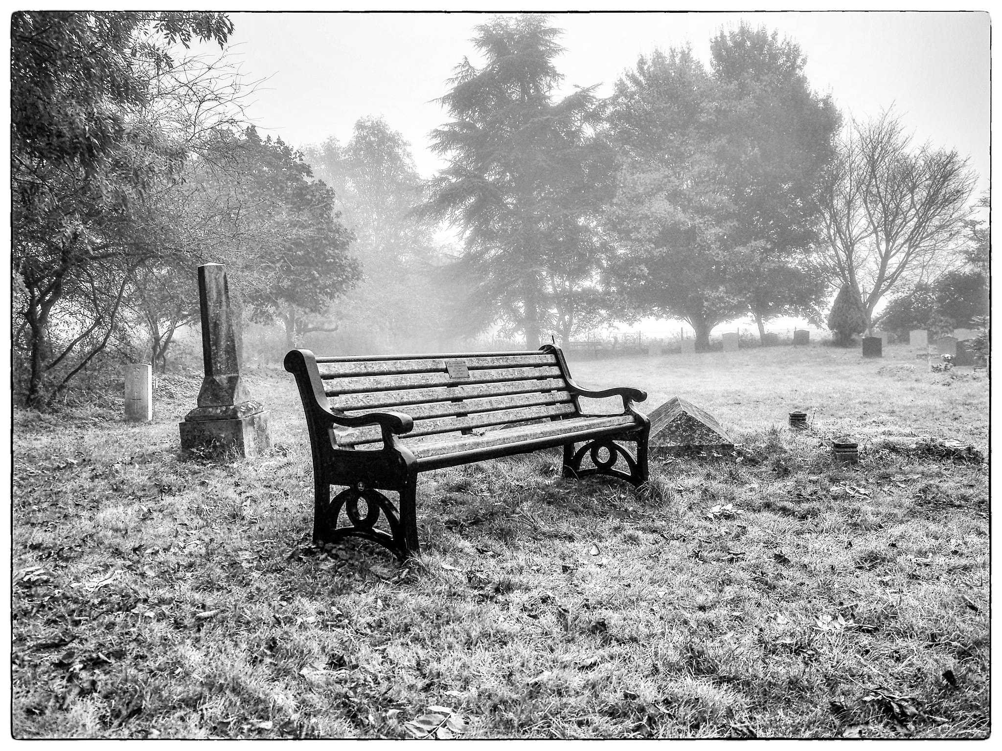 Olympus OM-D E-M10 + Olympus M.Zuiko Digital ED 14-42mm F3.5-5.6 EZ sample photo. Walkern church yard in the mist monochrome photography