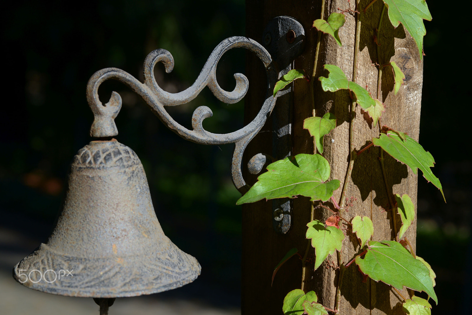 Sigma 70mm F2.8 EX DG Macro sample photo. Bell photography