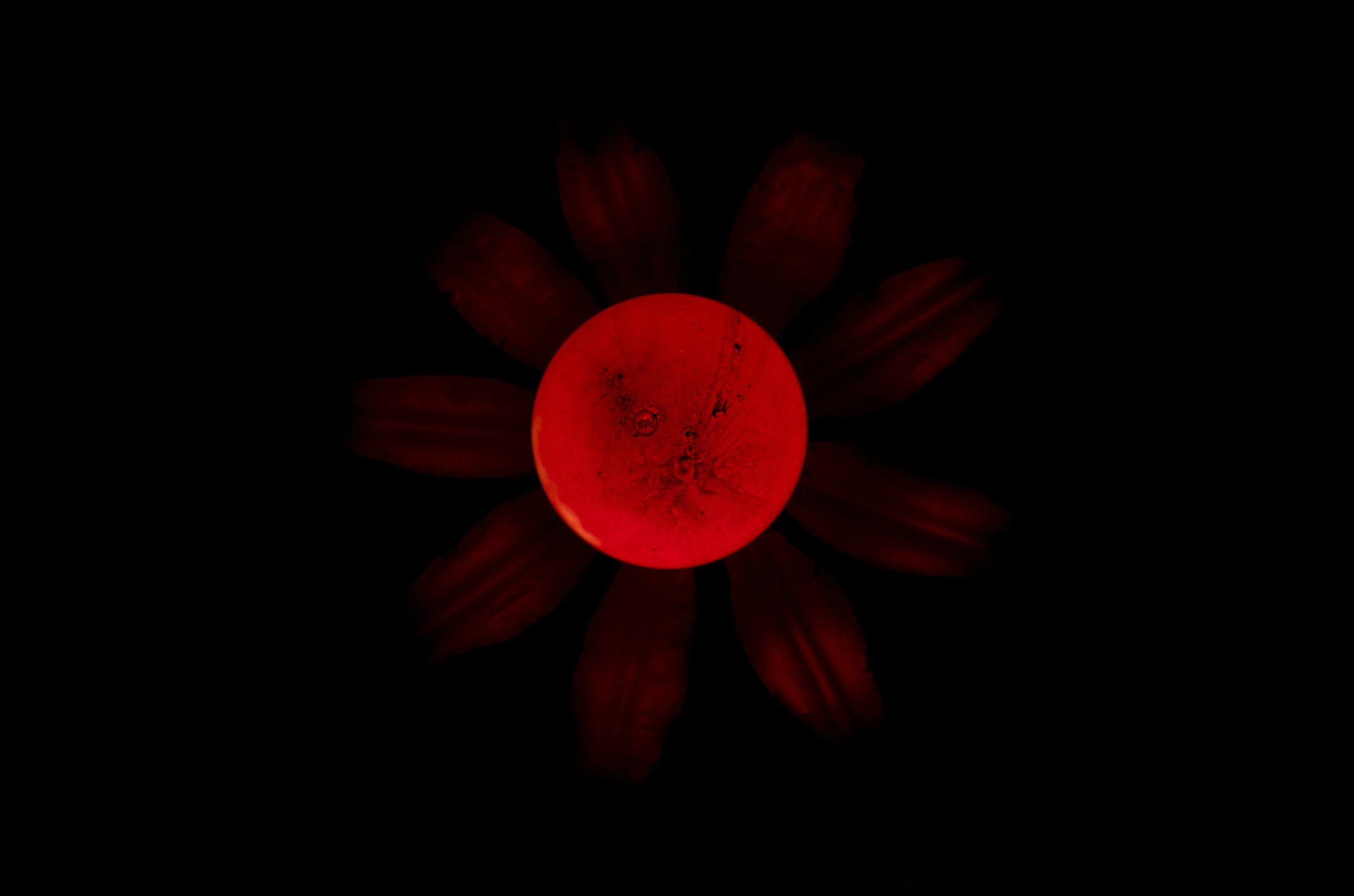 Pentax K-r + Pentax smc FA 50mm F1.4 sample photo. Red flower moon photography