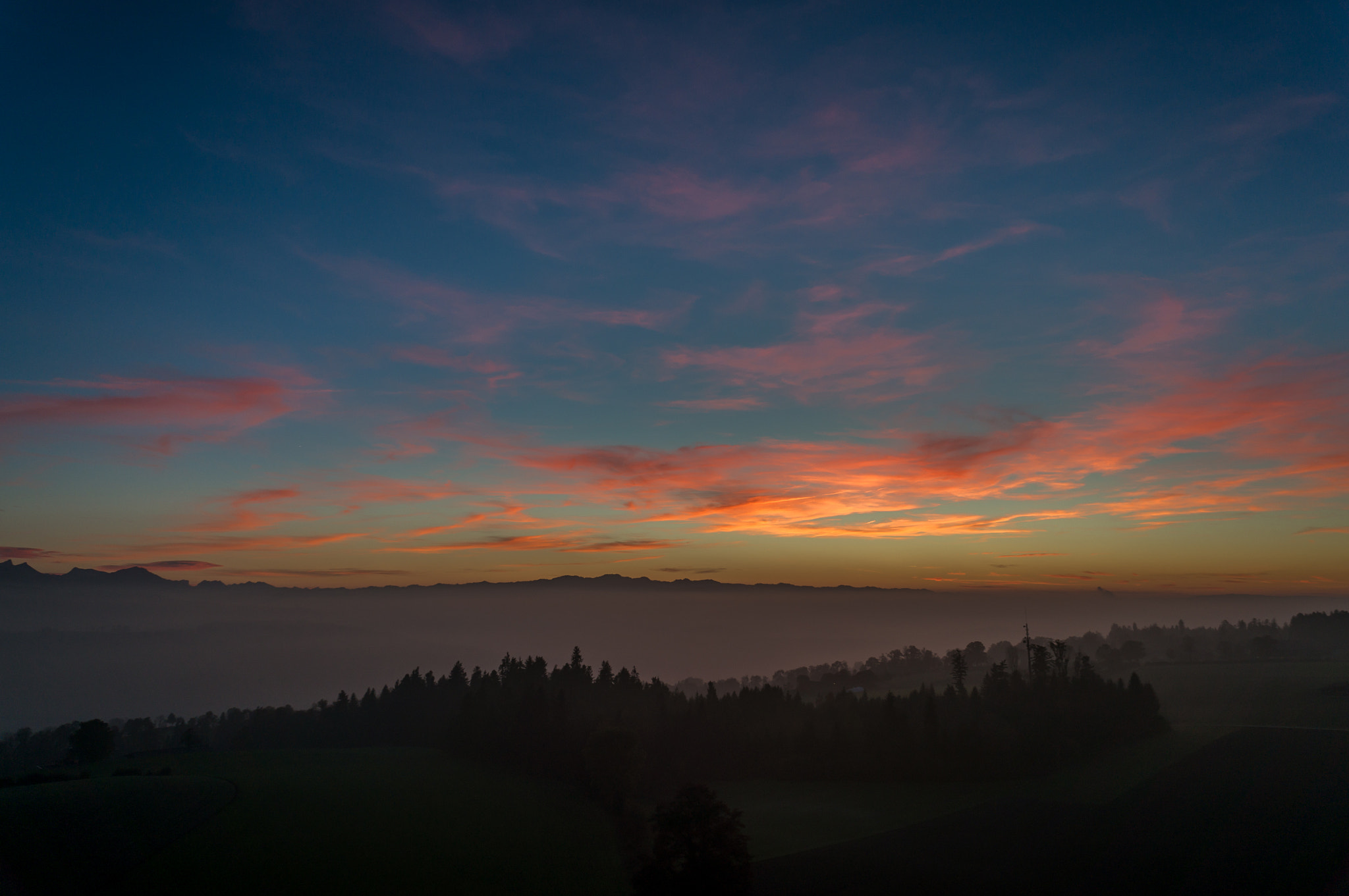 Sony Alpha NEX-5T + Sony E 16mm F2.8 sample photo. "there shall be eternal summer in the grateful heart." -celia thaxter photography