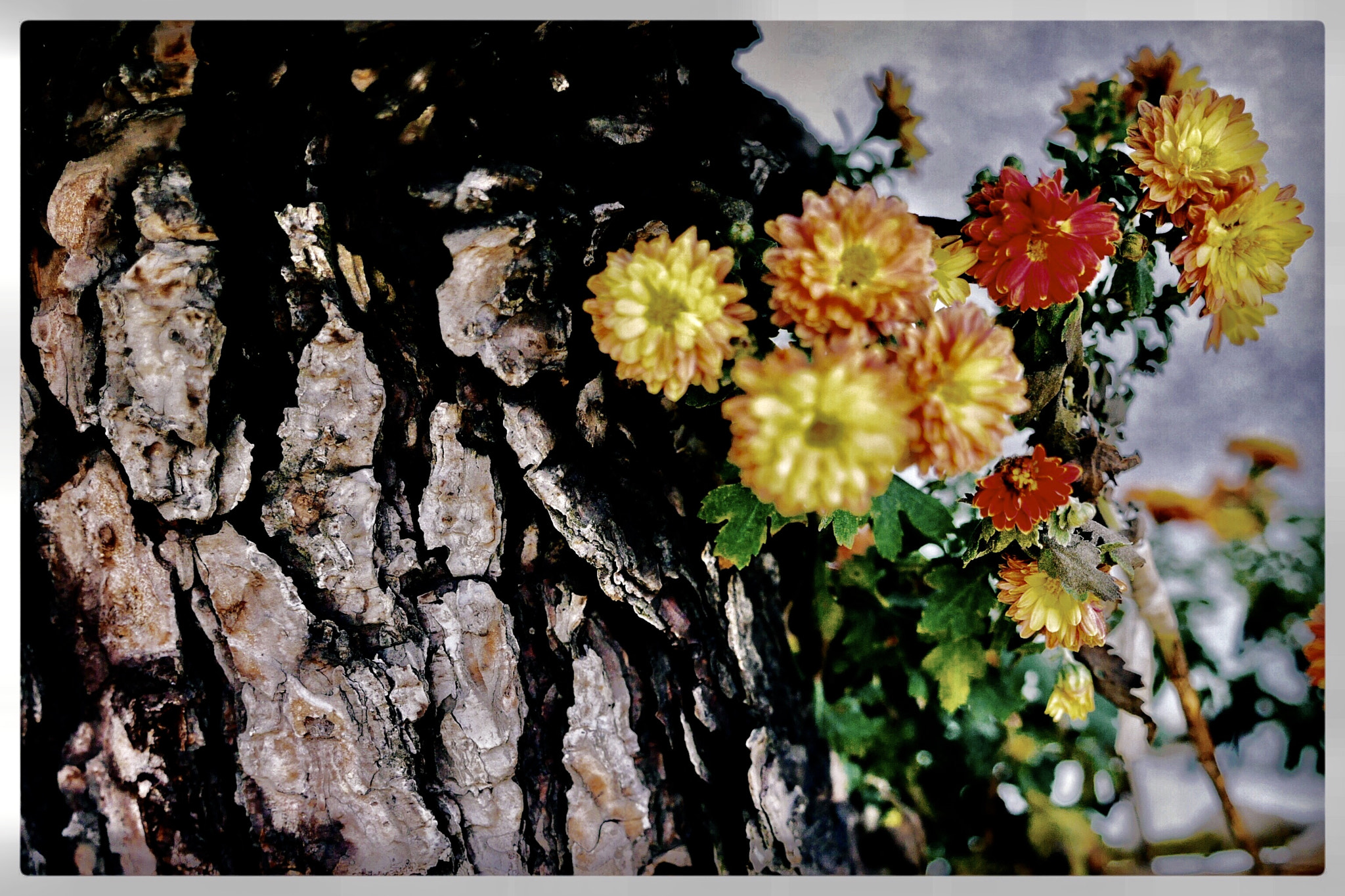 Panasonic Lumix DMC-GX7 sample photo