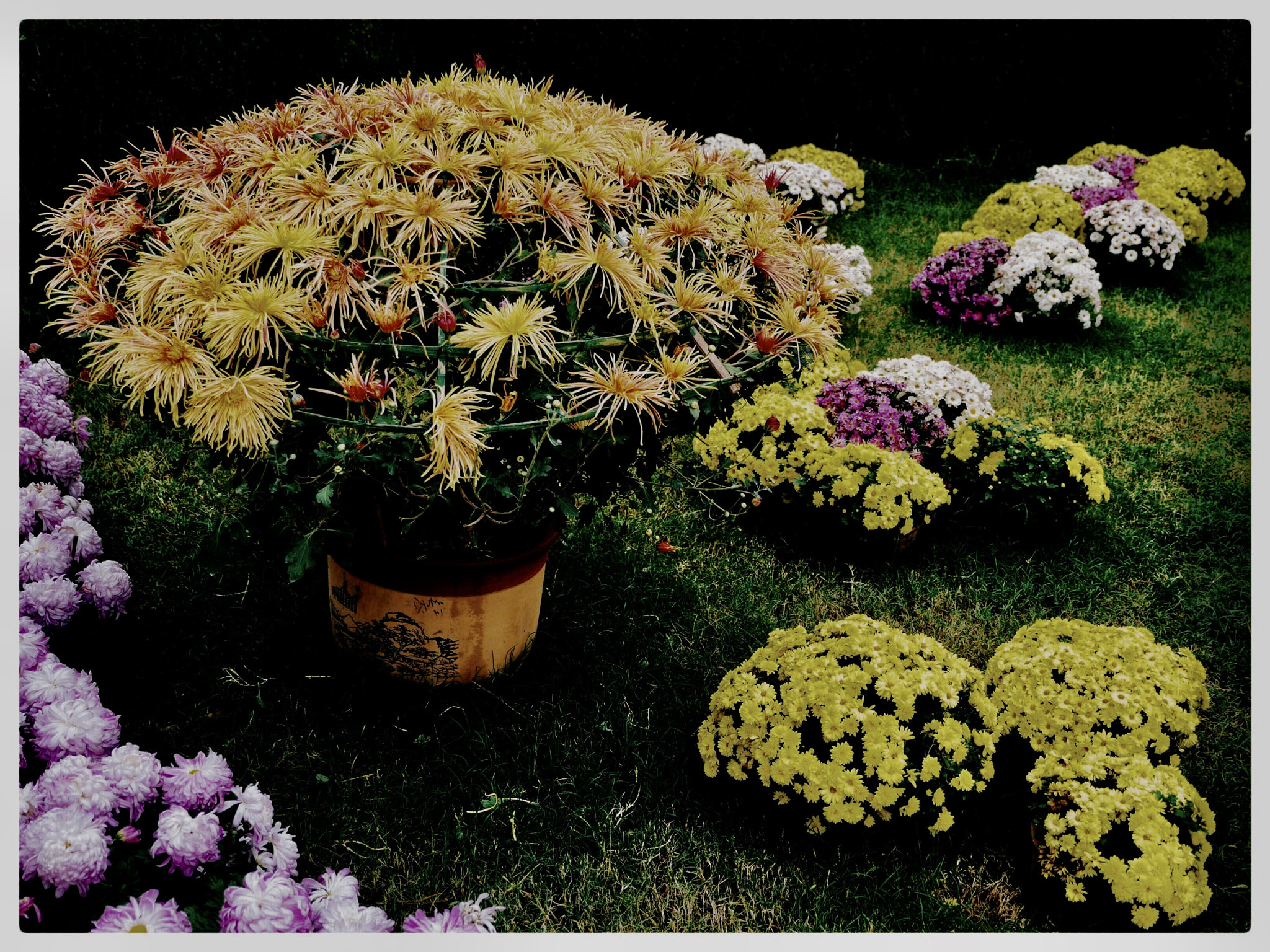 Panasonic Lumix DMC-GX7 sample photo