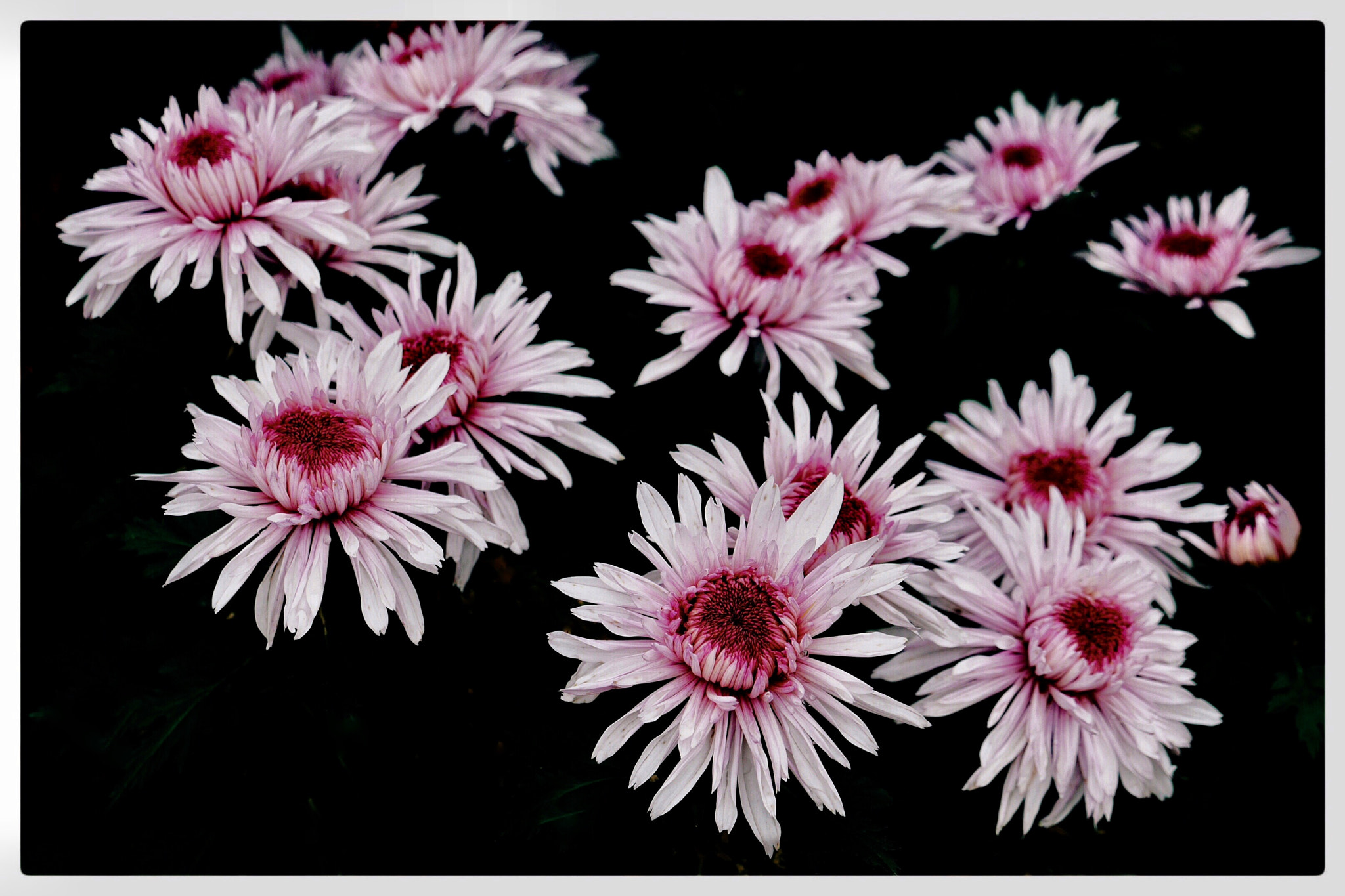 Panasonic Lumix DMC-GX7 sample photo
