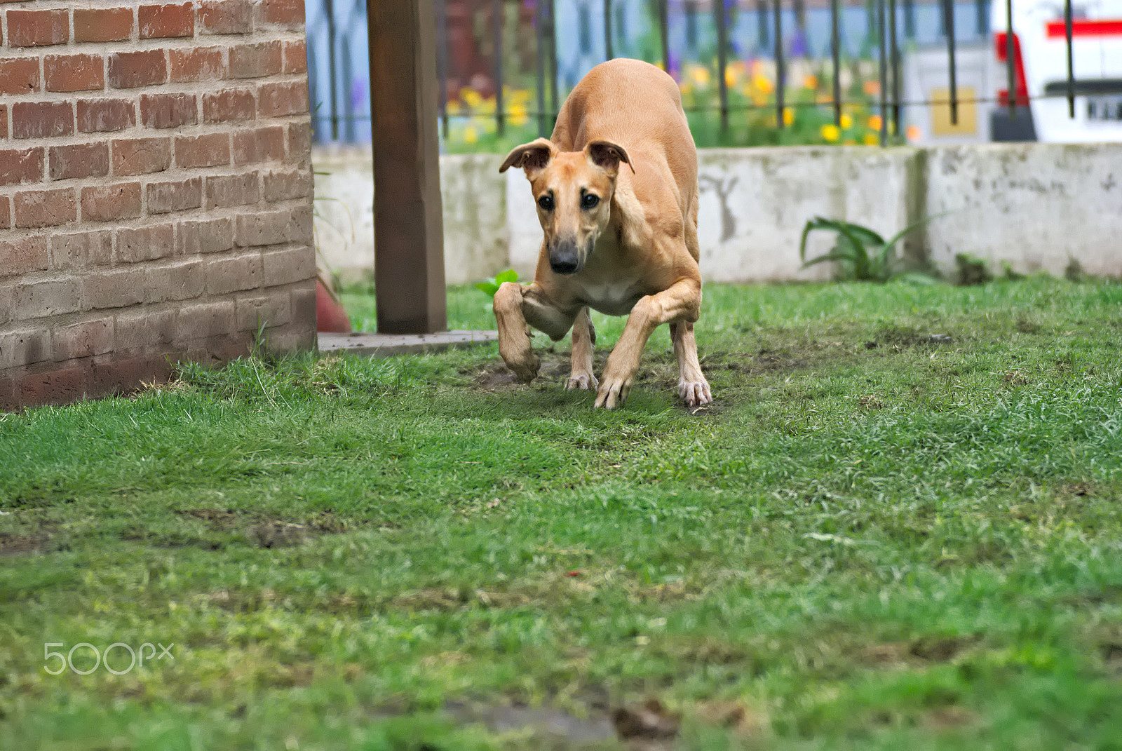 Nikon D3000 sample photo. Ready to race photography