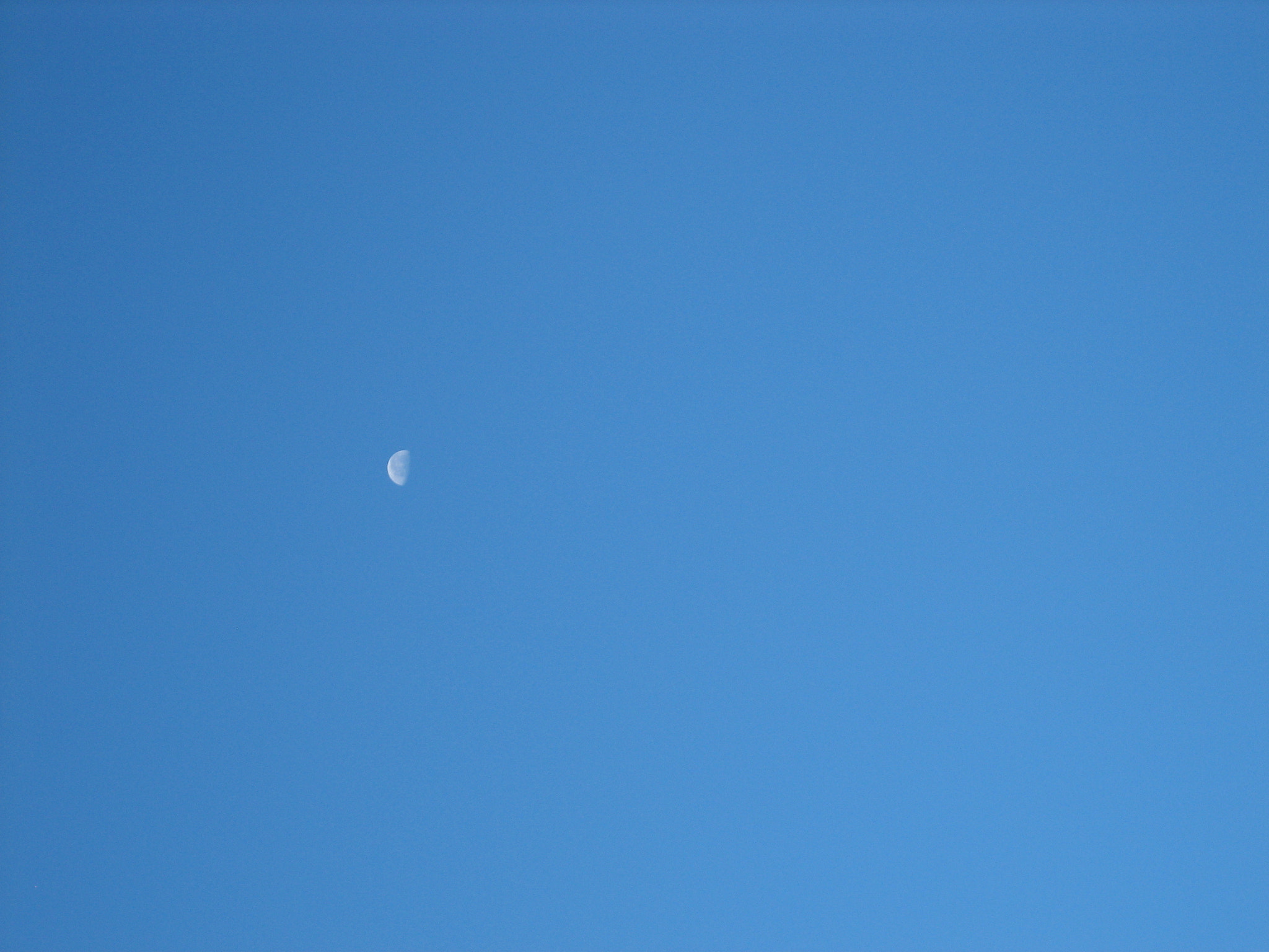 Canon DIGITAL IXUS 55 sample photo. Img photography