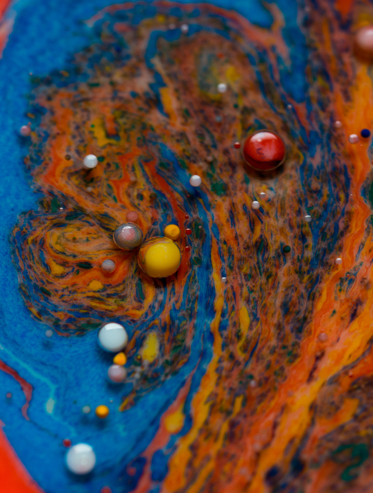 Nikon D800 sample photo. A colour explosion photography