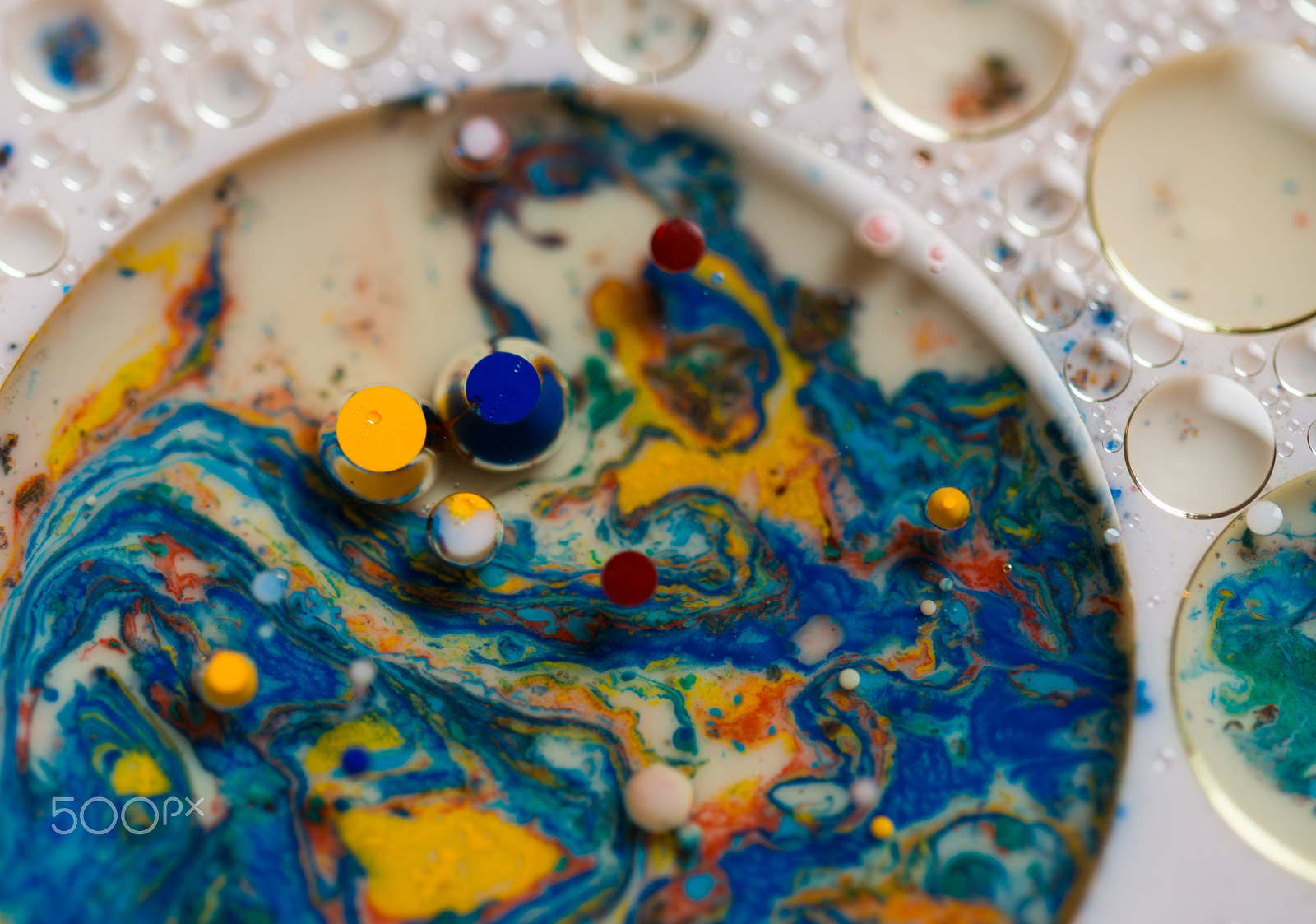 Nikon D800 sample photo. A colourful explosion photography