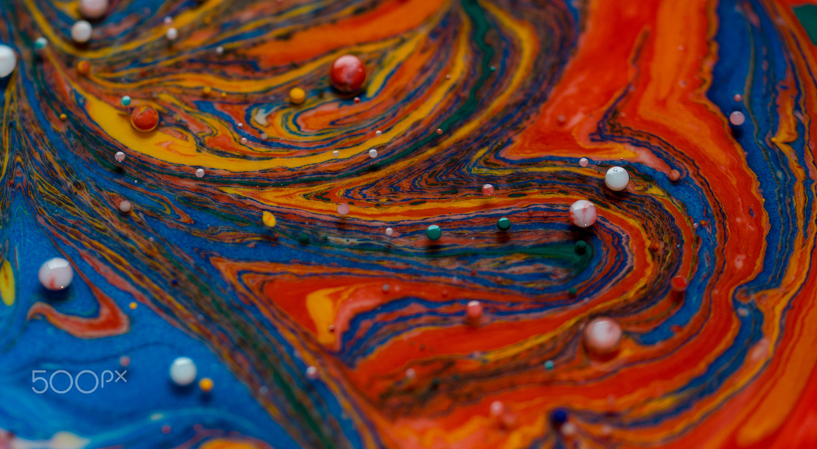 Nikon D800 sample photo. A colourful explosion photography