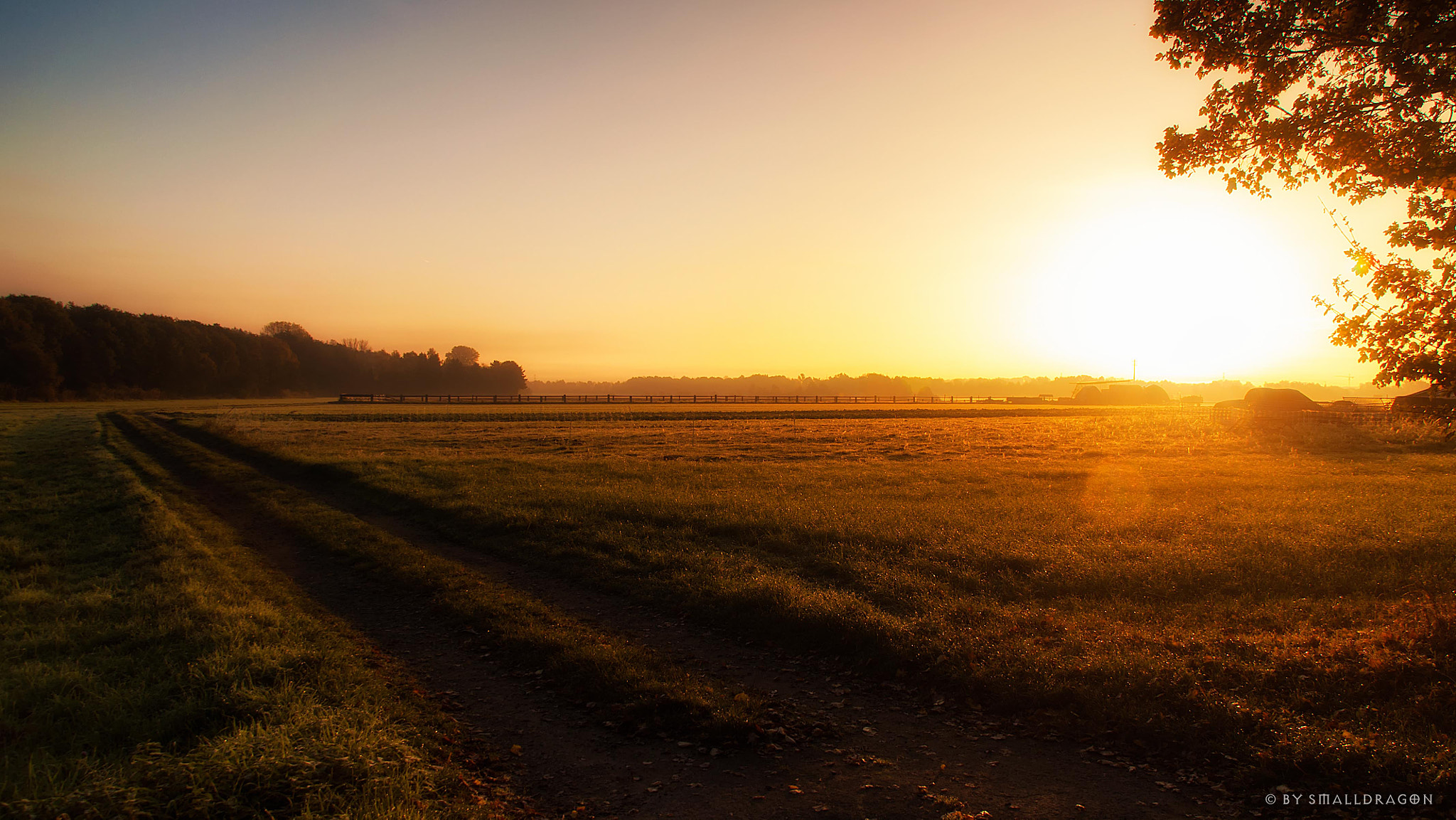 Nikon D5000 + Sigma 18-200mm F3.5-6.3 DC OS HSM sample photo. October morning photography