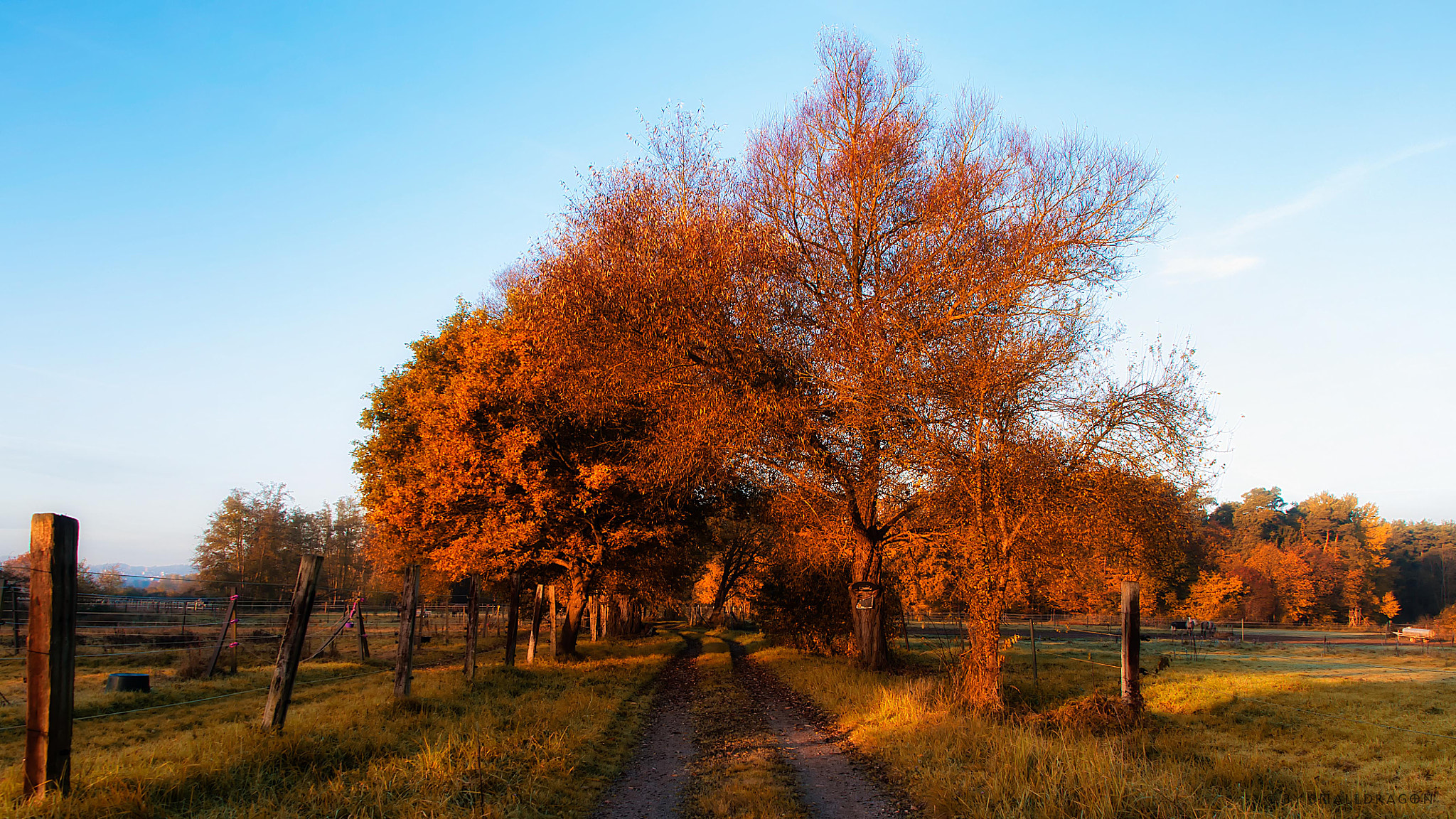 Nikon D5000 + Sigma 18-200mm F3.5-6.3 DC OS HSM sample photo. October morning photography