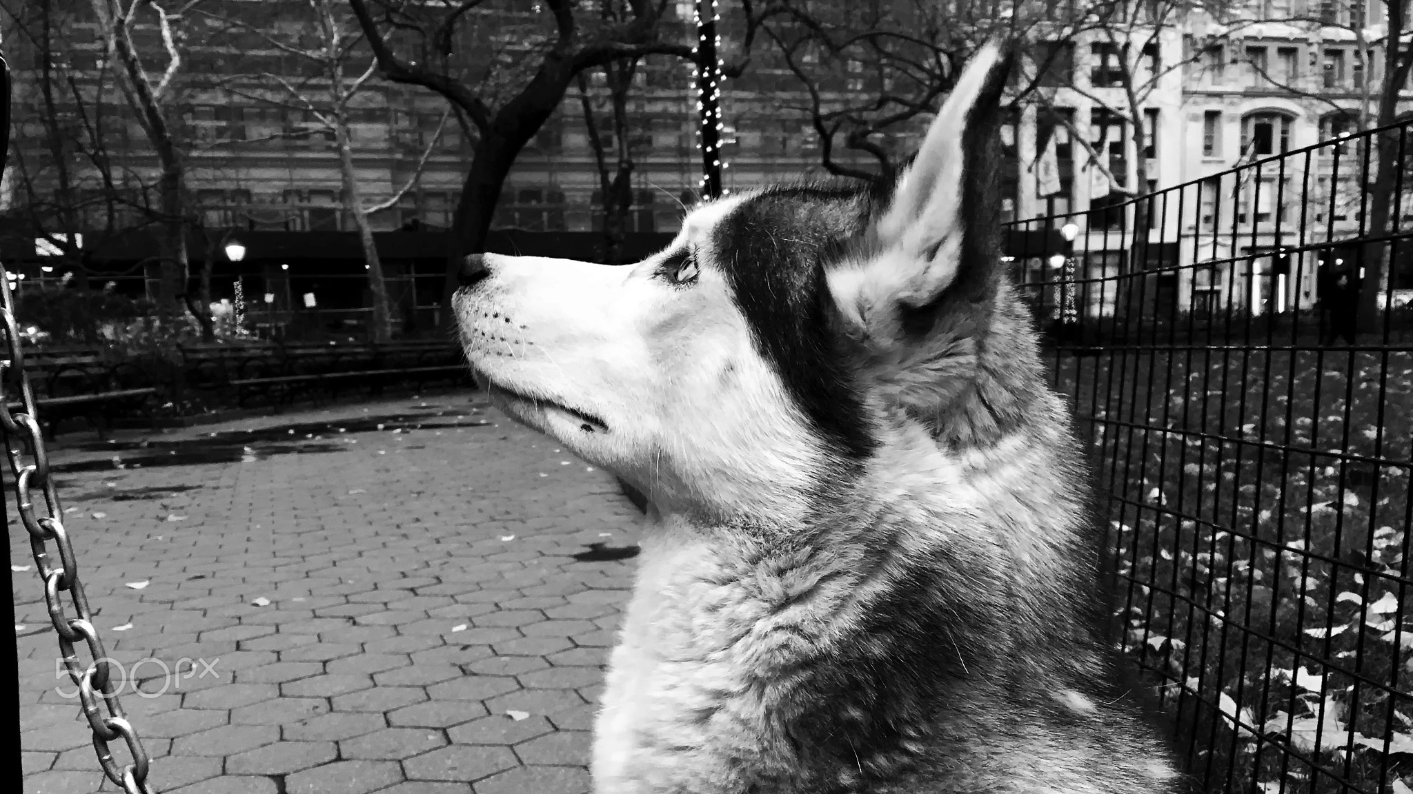 Sit, mobile photograph by Finley Delouche
