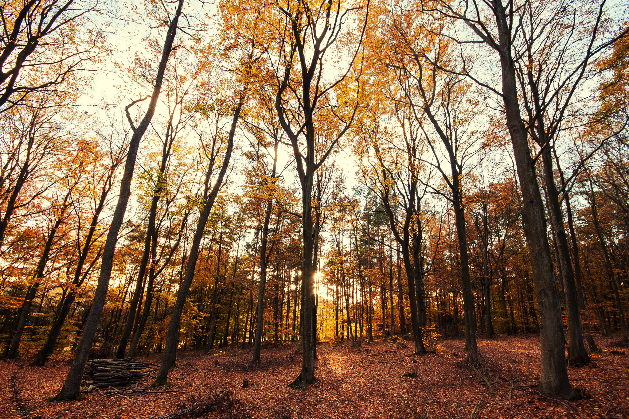 Canon EOS 40D + Sigma 10-20mm F4-5.6 EX DC HSM sample photo. . photography