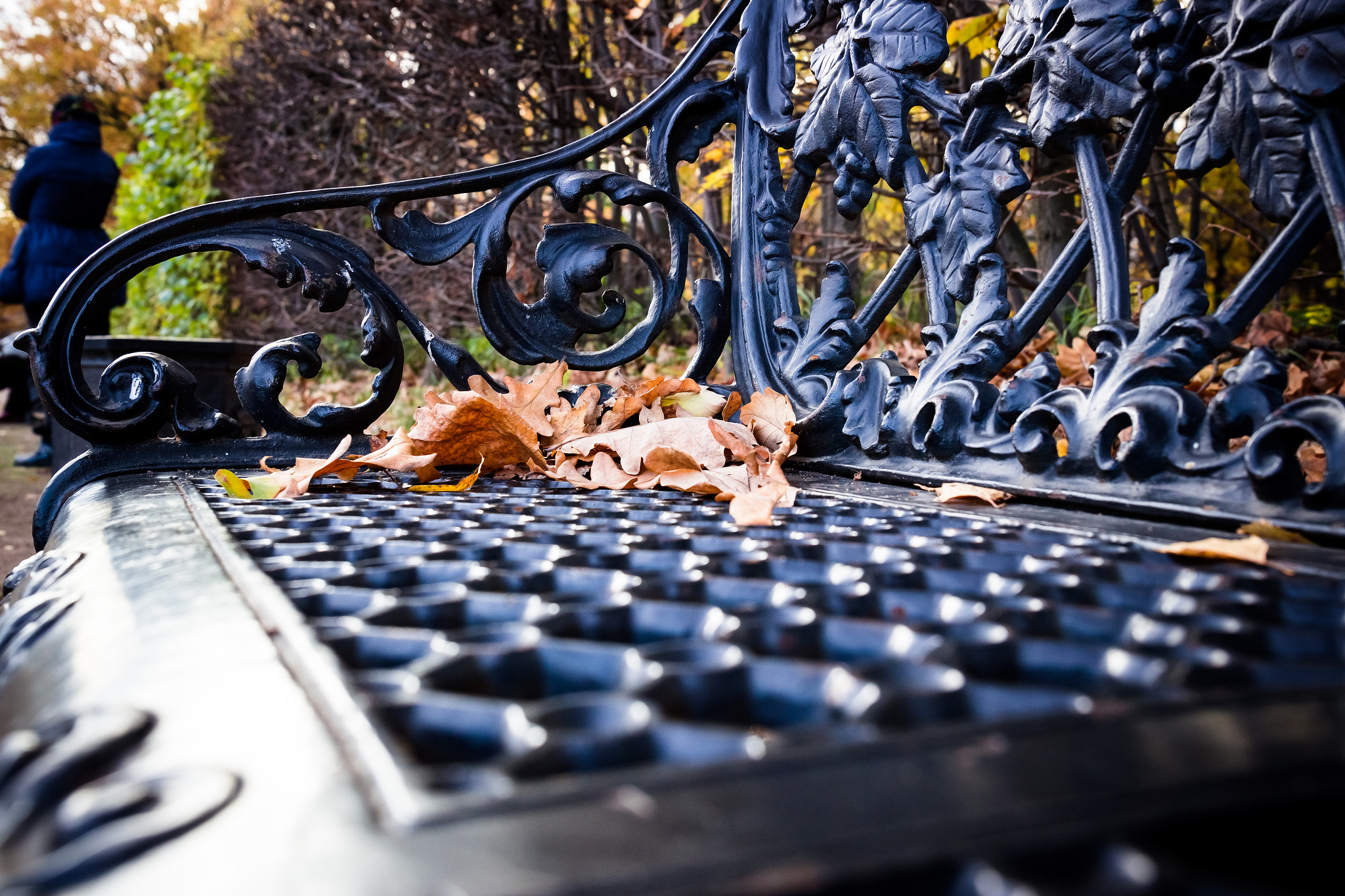 Canon EF 24-70mm F4L IS USM sample photo. Autumn bench photography