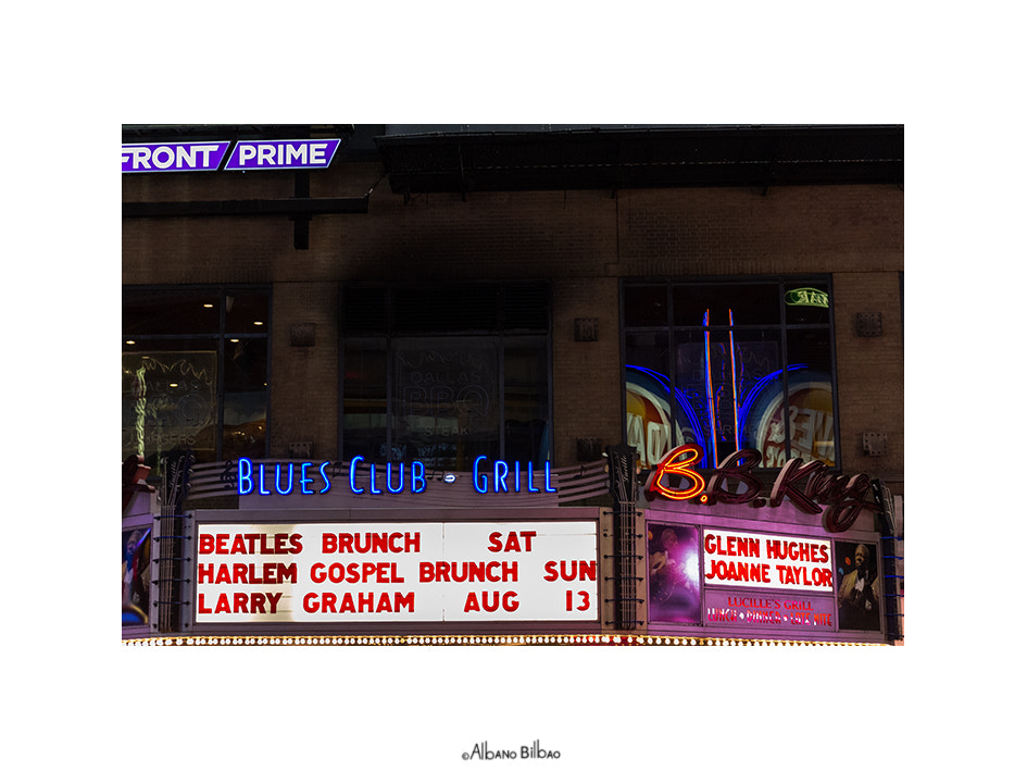 Canon EF 24-70mm F4L IS USM sample photo. Blues photography