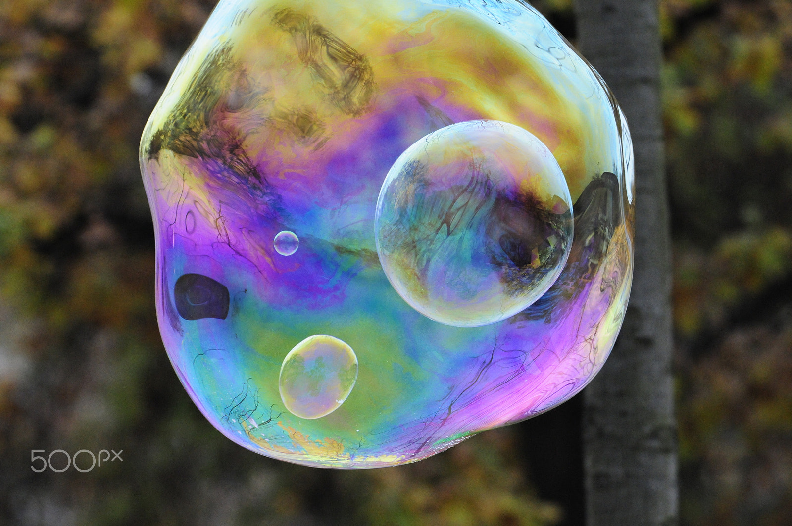 Nikon D300 sample photo. Colourful face photography