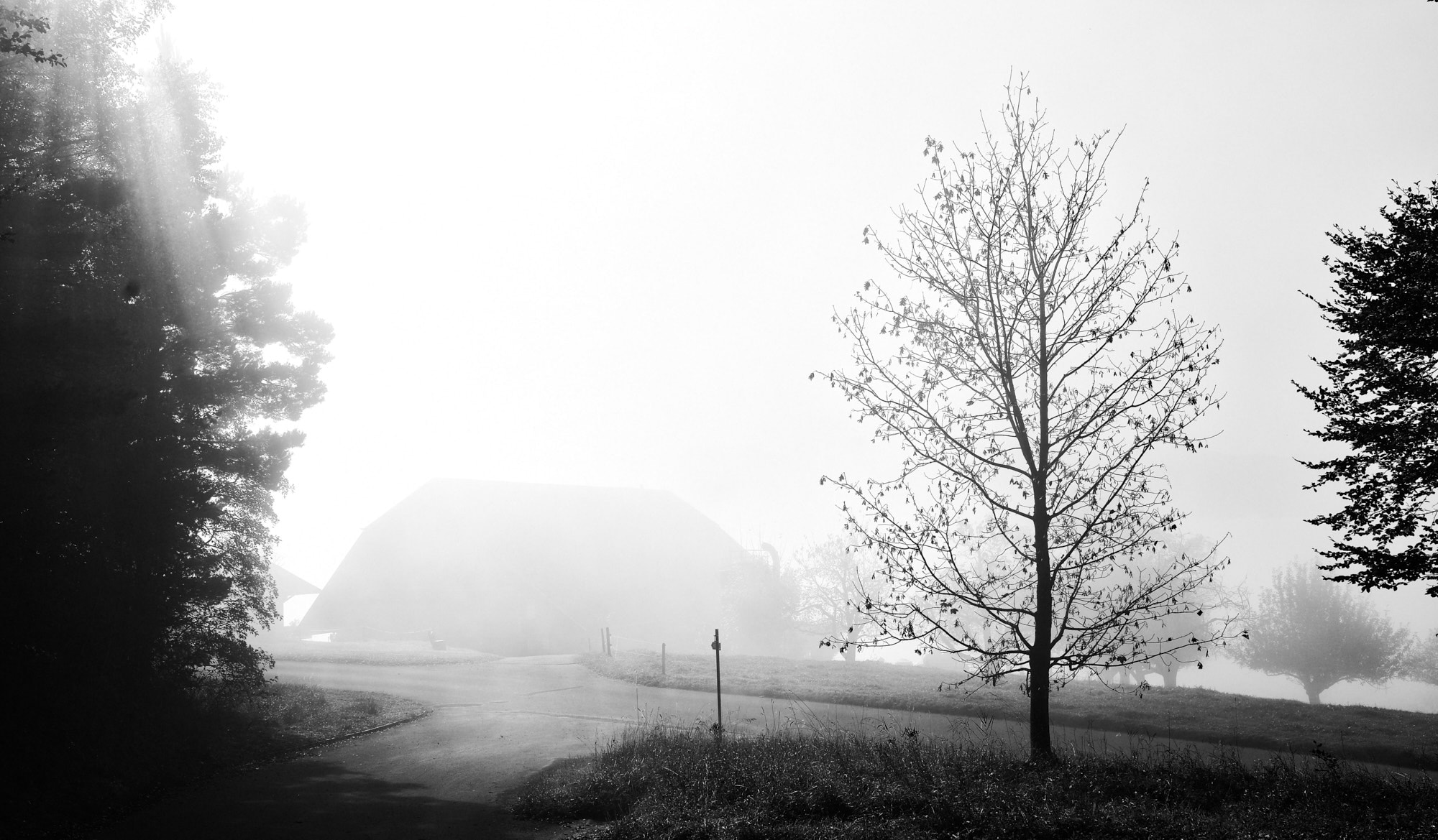 Sony a7 II + 35mm F1.4 sample photo. Crossroad in the fog photography