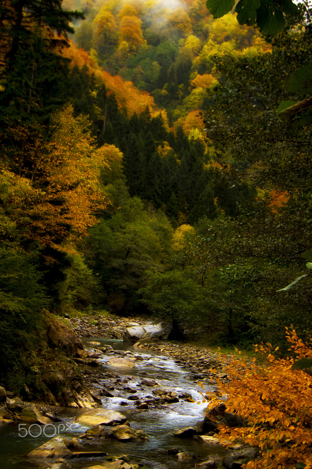 Canon EOS 760D (EOS Rebel T6s / EOS 8000D) sample photo. Autumn photography